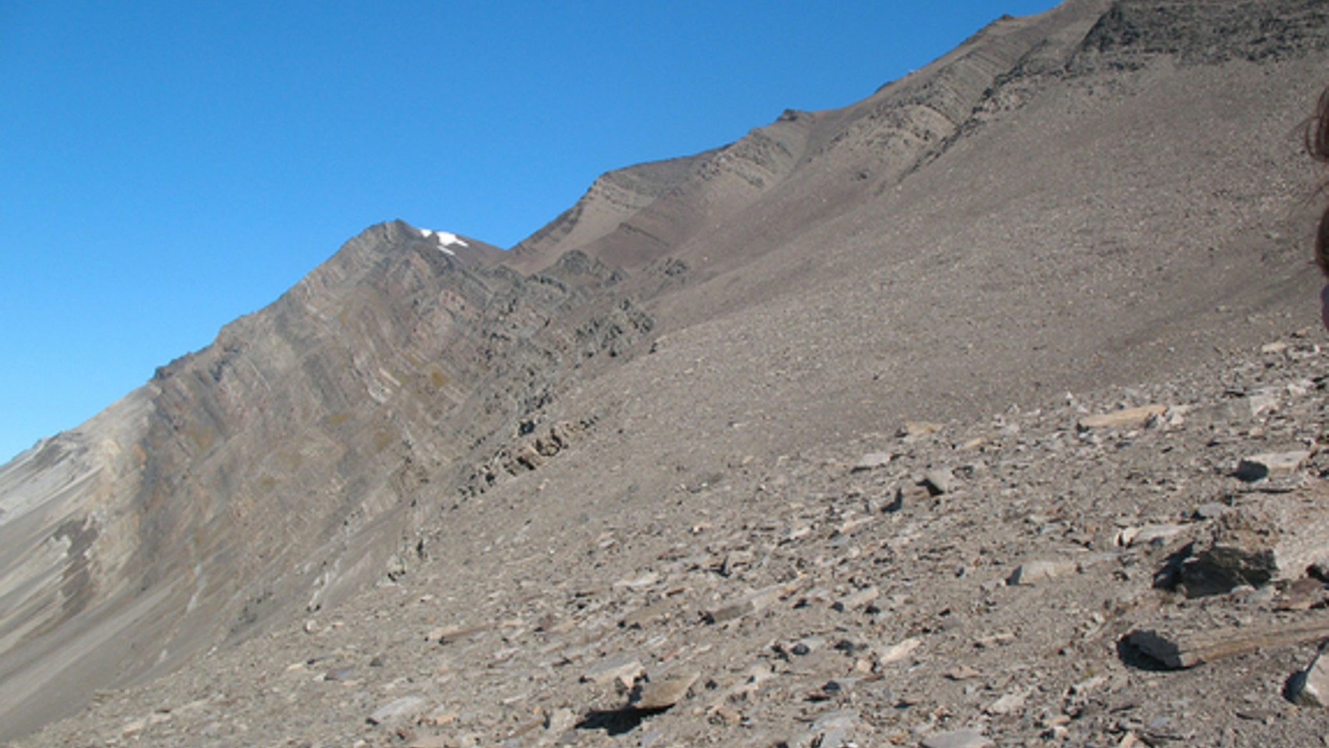 Bravaisberget, a mountain in southern Spitsbergen which contains the record of two mass extinctions from the Permian period.