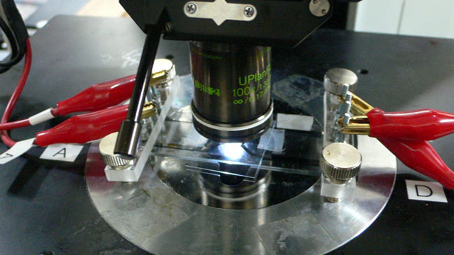 In a micro experiment that completely fit onto a slide under a microscope, physicists converted information into energy.