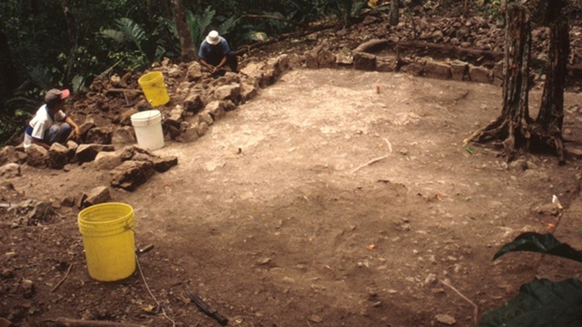 Around 500 years ago, in this Maya temple at Zacpetén in Guatemala, a person was cut open using an obsidian arrowhead, and their blood was spilled in a ceremony that may have used a person’s "life force" to feed the gods.