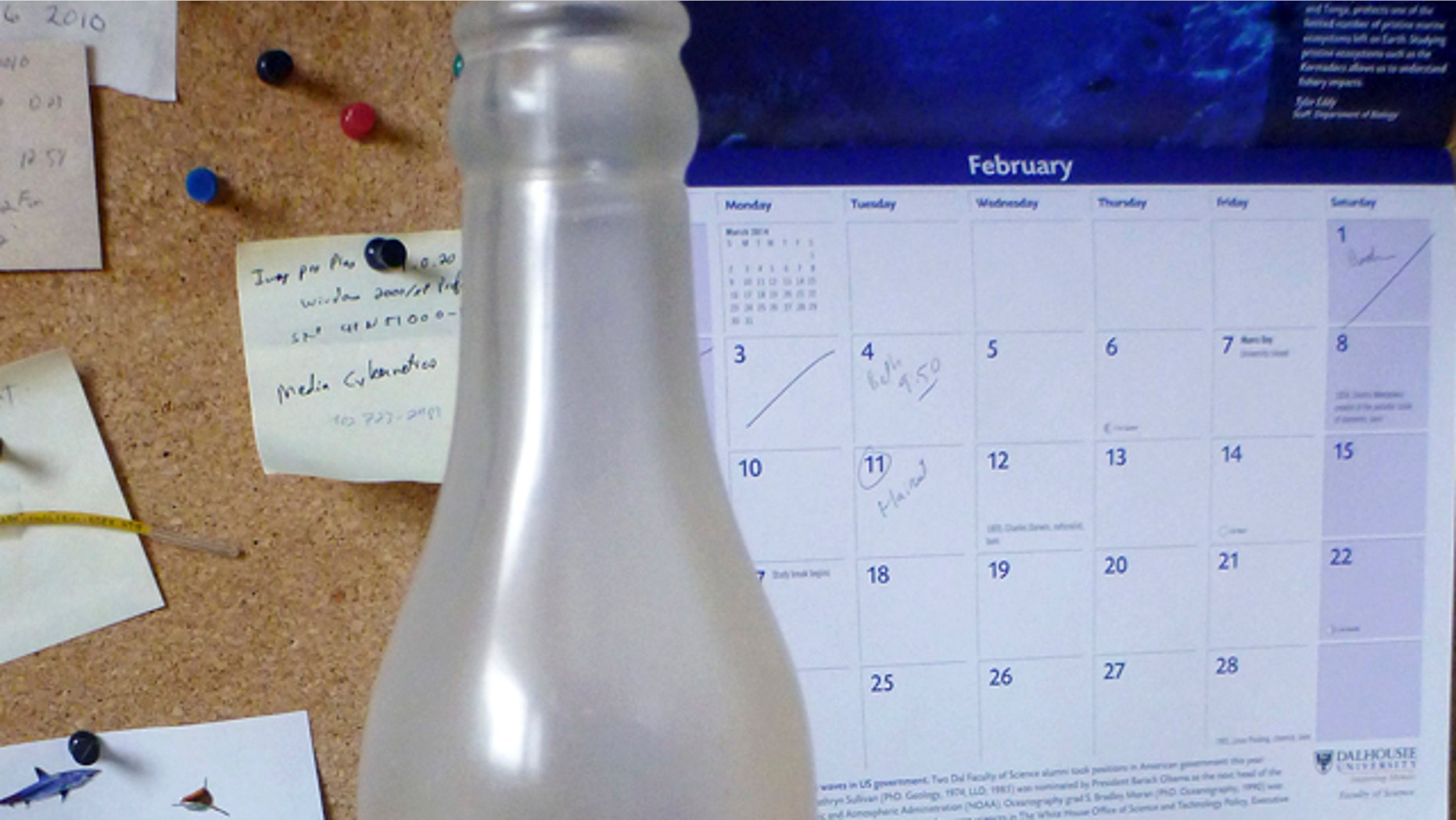 A glass bottle that had contained a message from the institution, which was recovered on Sable Island, Nova Scotia, by biologist Warren N. Joyce of Canada's Department of Fisheries and Oceans.