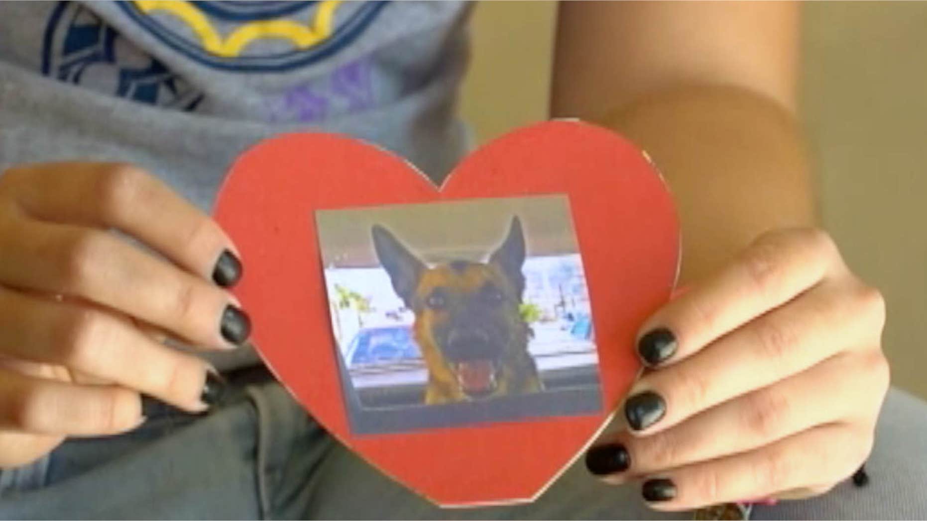 April 1, 2015: In this frame grab of video from AP Television, Julieta Robles shows a photograph of her dog "Box," in Hermosillo, Mexico.