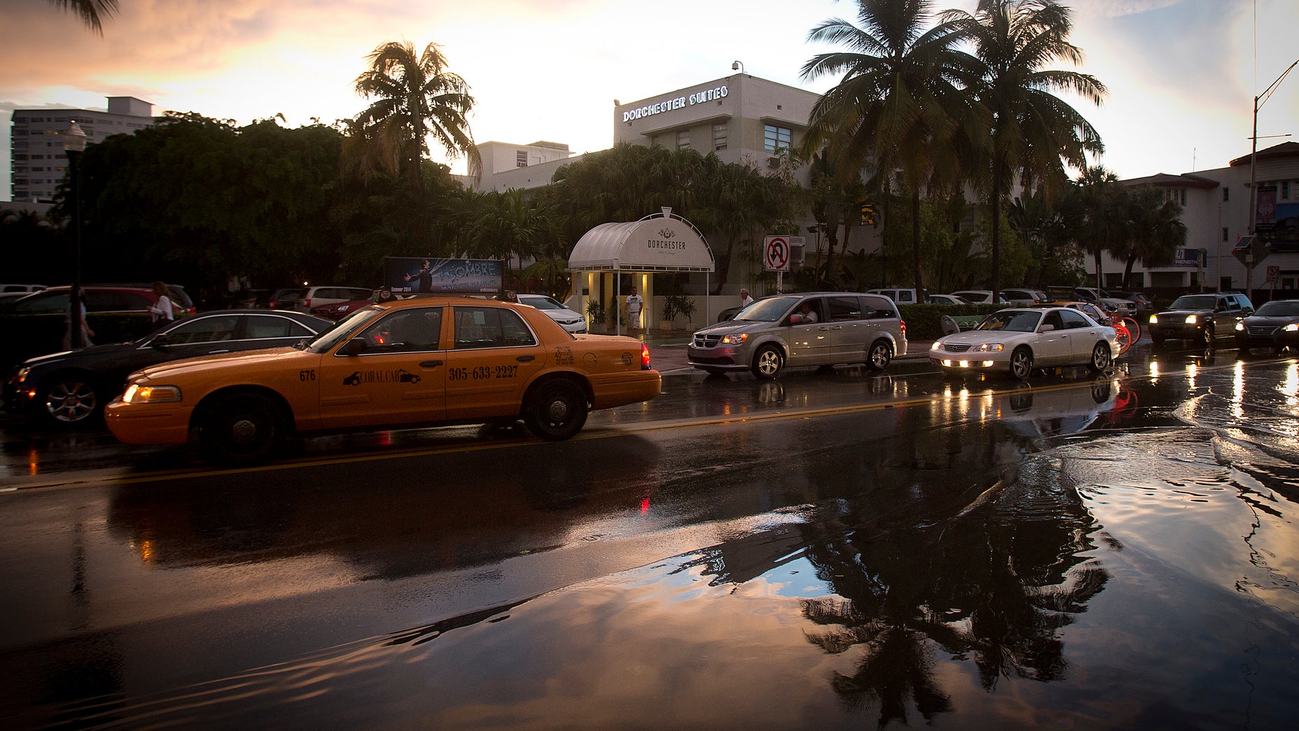 Palm trees are reflected in puddles after a torrential downpour in the South Beach part of Miami, July 18, 2014.