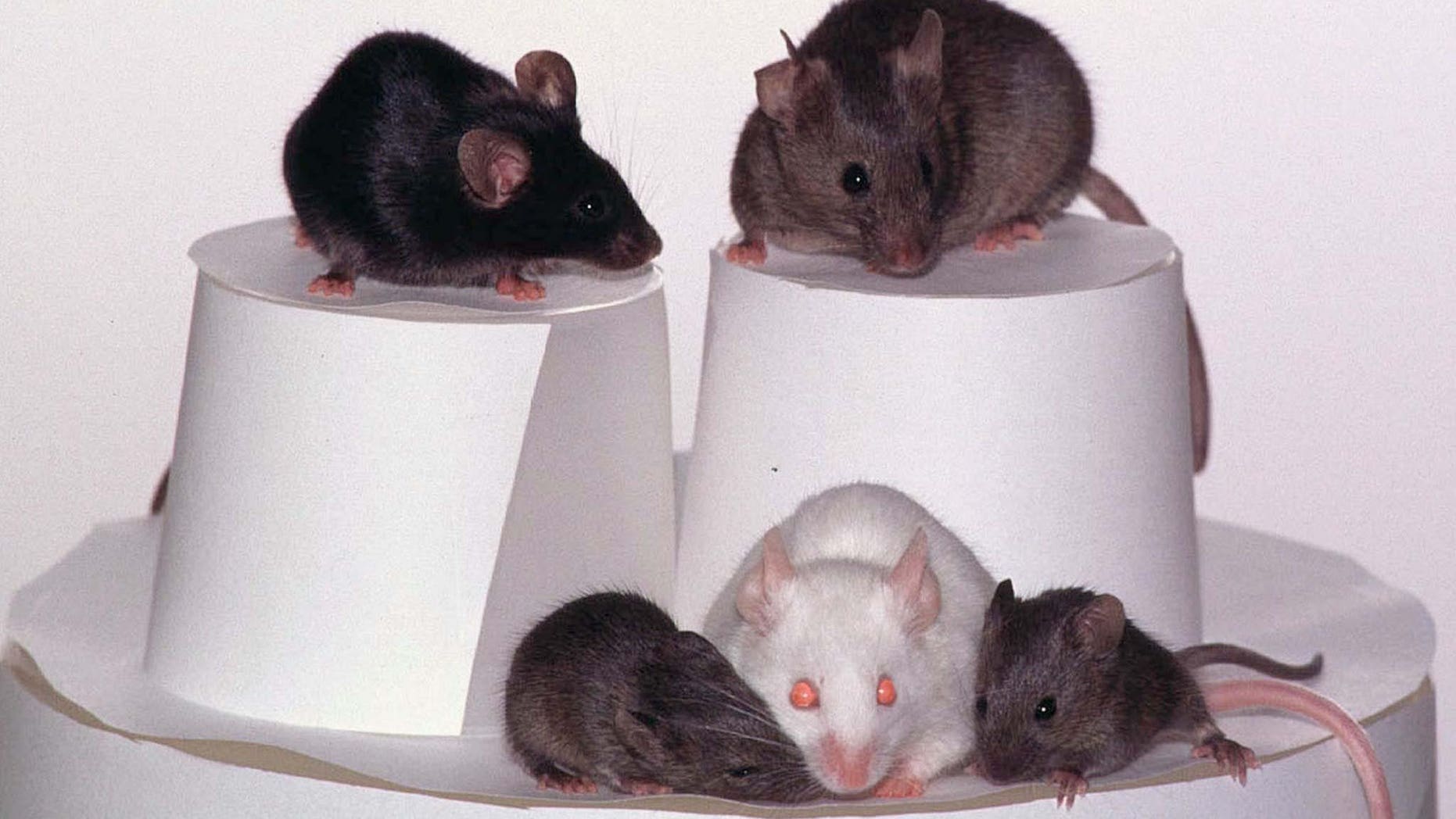 File photo.