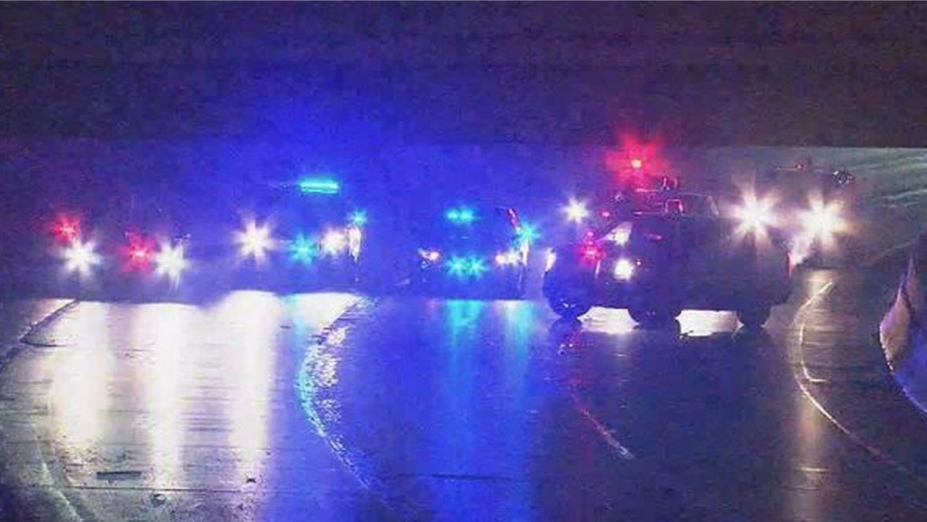 A toddler was the only survivor of a freeway crash in suburban Detroit early Monday that killed four people, police said.