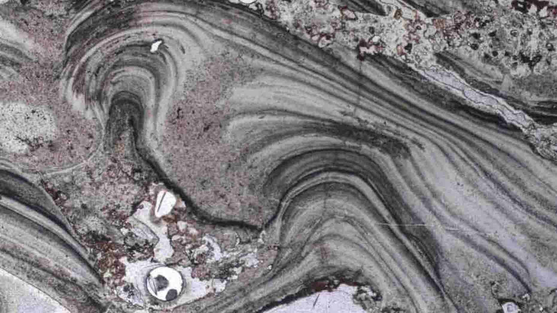 Microscopic images of geyserite taken from the Dresser Formation in Australia provide evidence for microbial life that lived 3.48 billion years ago. The ripply "palisade" texture could have been formed when long filaments of bacteria were entombed by the silica from the mineral-rich water from a hot spring.