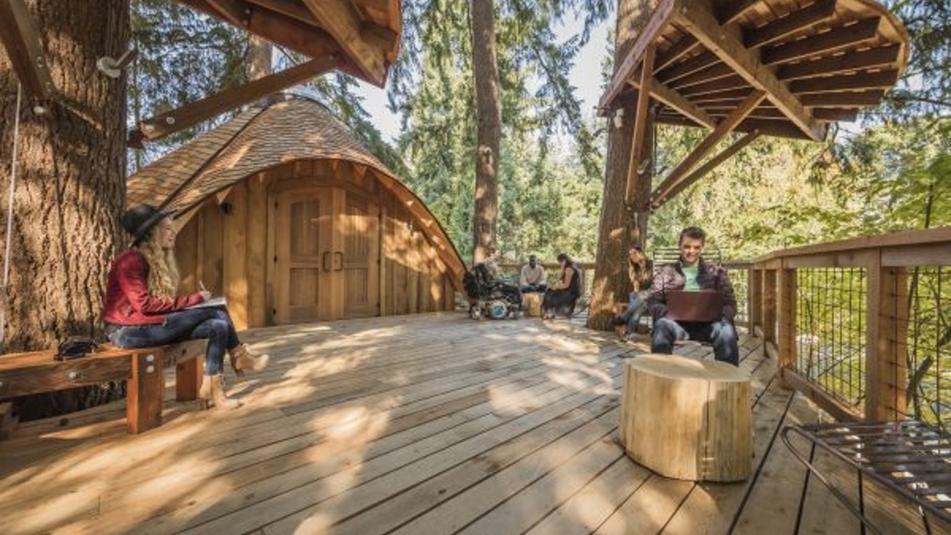 Microsoft's treehouse outdoor meeting spaces (Microsoft)