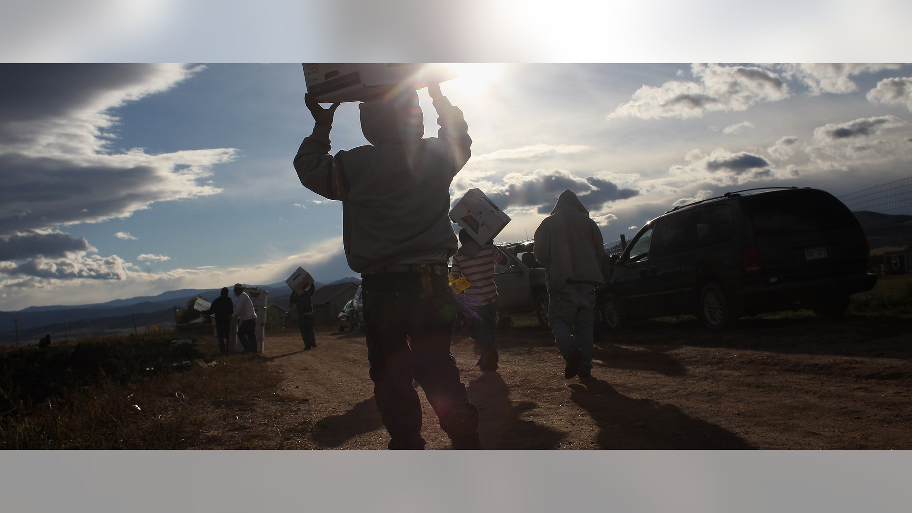 WELLINGTON, CO - OCTOBER 11: Mexican migrant workers carry boxes of organic kale during the fall harvest at Grant Family Farms on October 11, 2011 in Wellington, Colorado. Although demand for the farm's organic produce is high, Andy Grant said that his migrant labor force, mostly from Mexico, is sharply down this year and that he'll be unable to harvest up to a third of his fall crops, leaving vegetables in the fields to rot. He said that stricter U.S. immigration policies nationwide have created a "climate of fear" in the immigrant community and many workers have either gone back to Mexico or have been deported. Although Grant requires proof of legal immigration status from his employees, undocumented migrant workers can easily obtain falsified permits in order to work throughout the U.S. Many farmers nationwide say they have found it nearly impossible to hire American citizens for seasonal labor-intensive farm work. (Photo by John Moore/Getty Images)