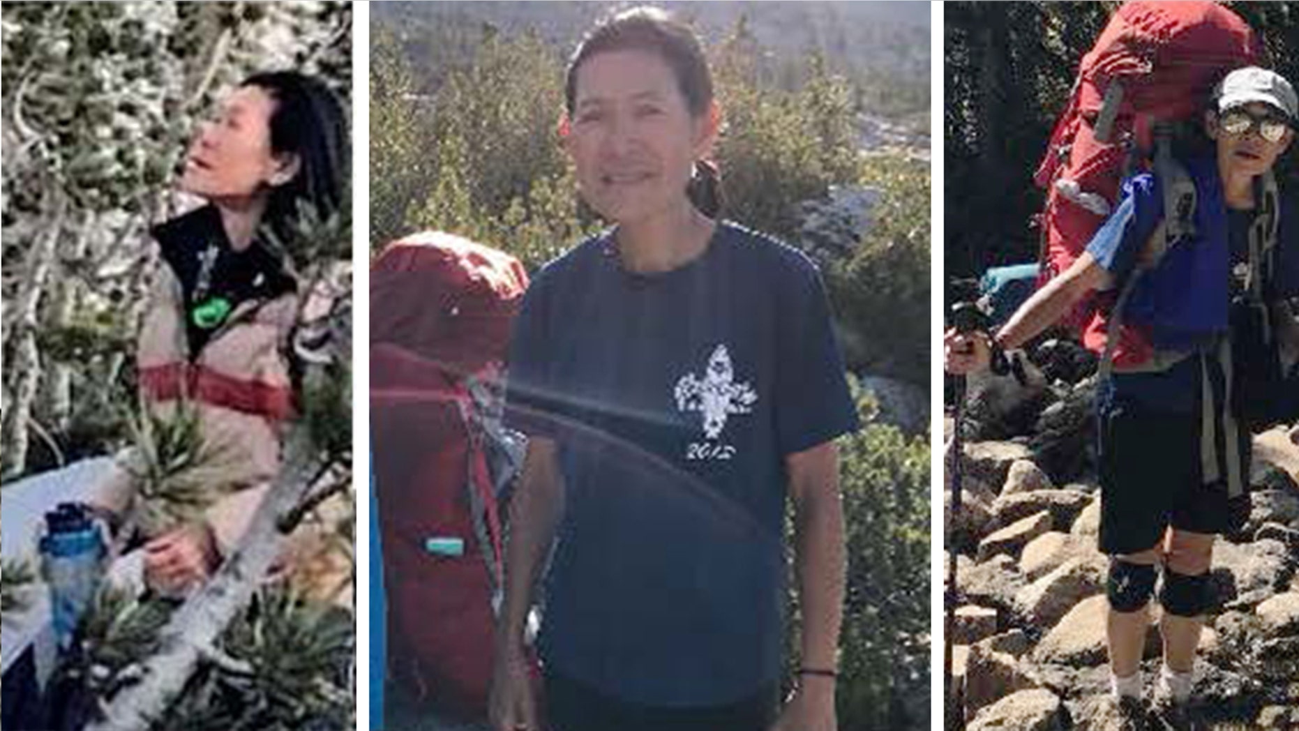 Diane Salmon, 63, who went hiking in Kings Canyon National Park, was "found alive and well" on Sunday after she was reported missing on Friday, officials said.