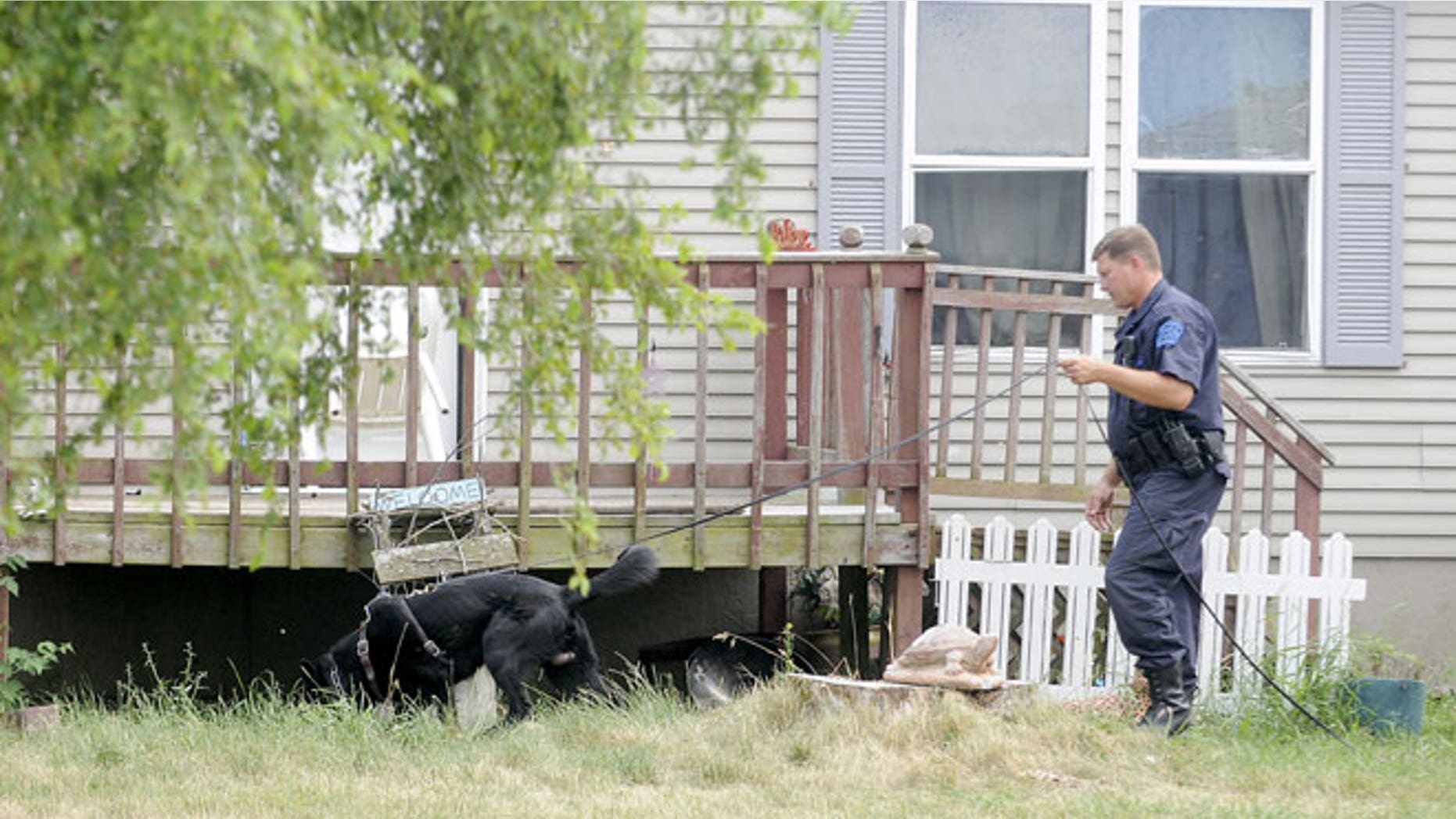 June 28, 2012: A Michigan State Police dog handler and his dog search the property at 7340 East Tomah Road in Mount Pleasant, Mich.