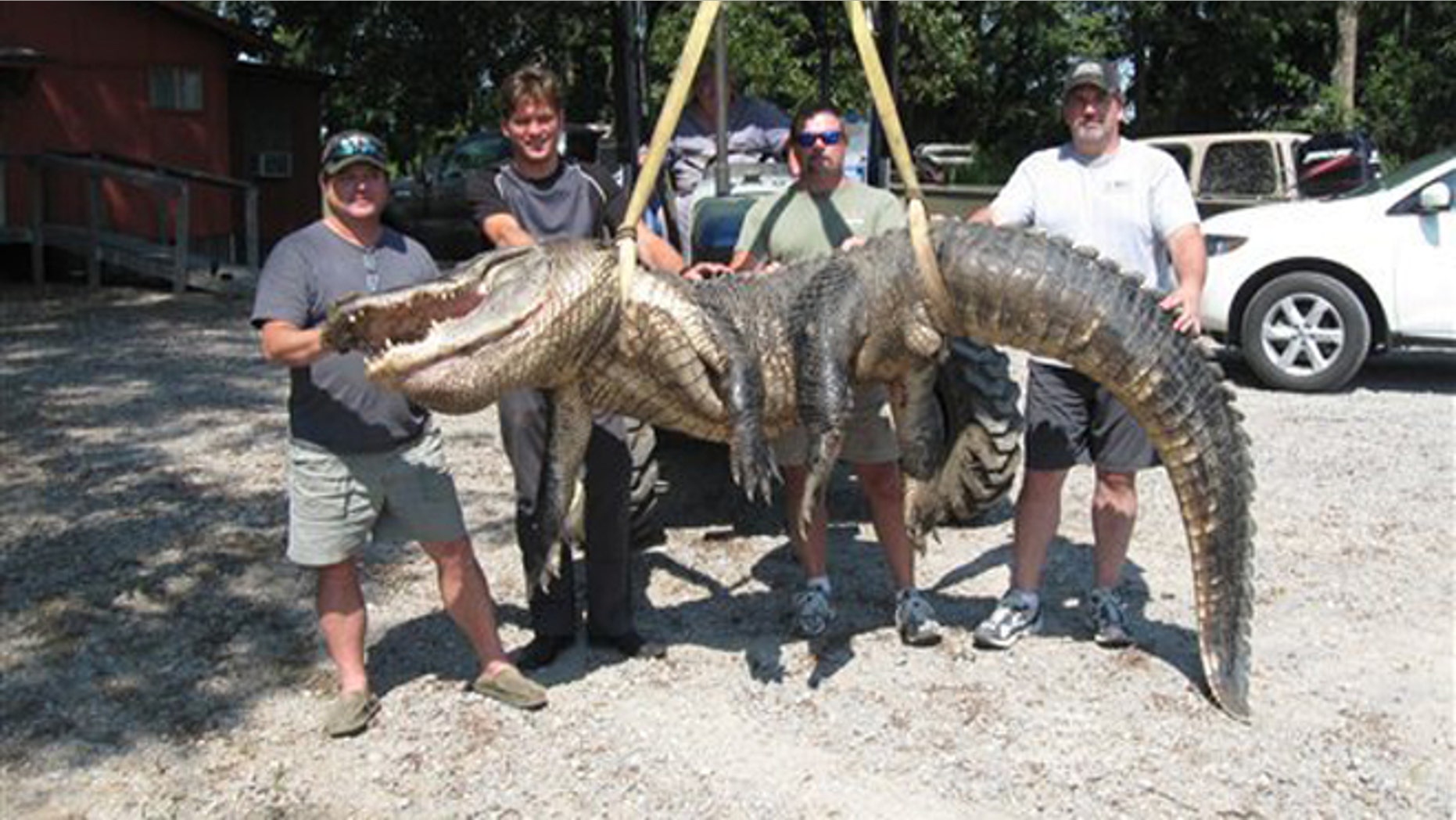 Sept. 22, 2012: In this photo released by Austin Winter, Jim Reed of Greenville, Miss., Michael Robbers, of Palos Verdes, Calif., Tom Grant, of Cleveland, Miss., and Kenny Winter, of Greenville, Miss., stand behind the record alligator they caught, in Fitler, Miss. The gator weighed in at 697.5 pounds, breaking the Mississippi state record by seven pounds.