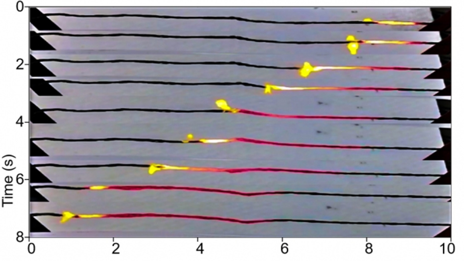 In this time-lapse series of photos, progressing from top to bottom, a coating of sucrose (ordinary sugar) over a wire made of carbon nanotubes is lit at the left end, and burns from one end to the other. As it heats the wire, it drives a wave of electrons along with it, thus converting the heat into electricity. (Michael Strano)