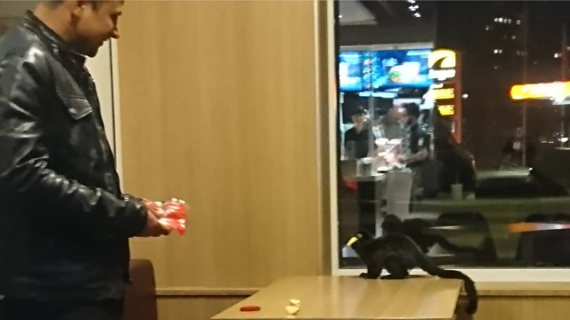 A monkey that had escaped from the Gothenburg science center Universeum popped up at a McDonald's nine miles away.