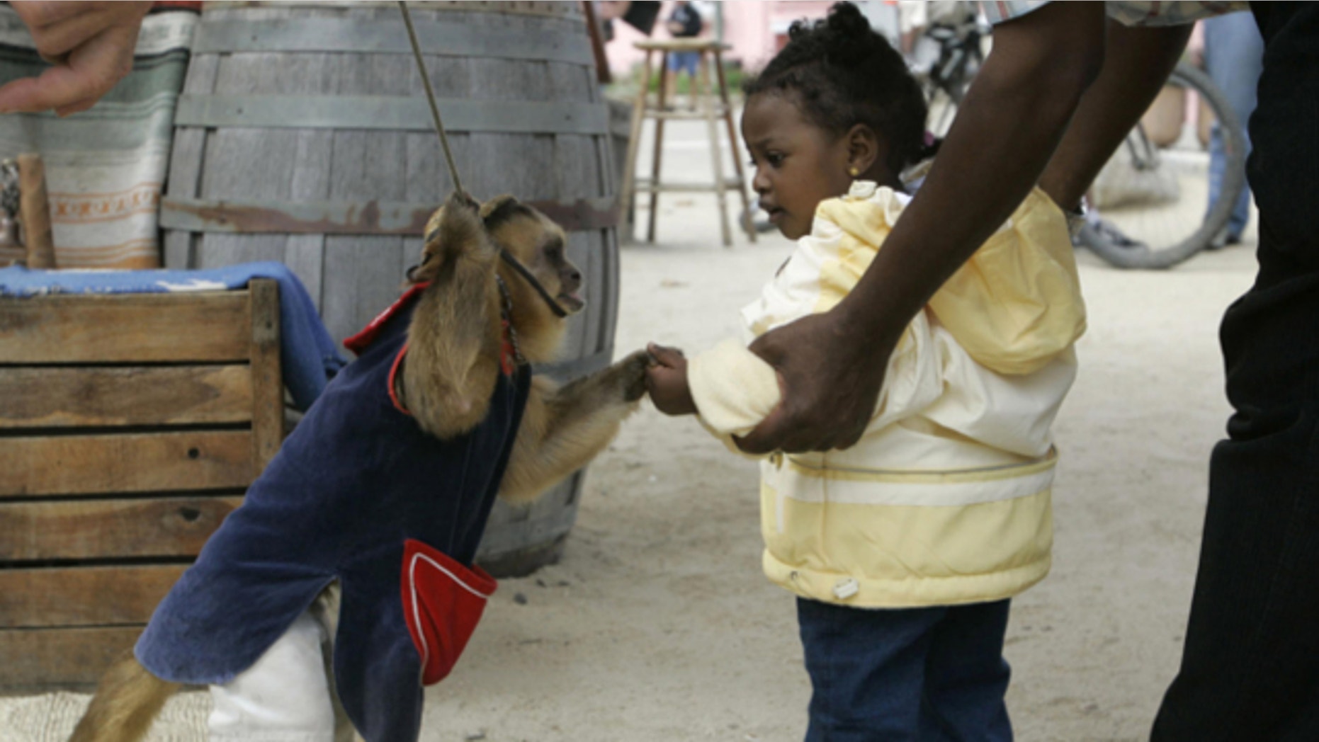 FILE: July 3, 2006: A capuchin monkey shakes hands of a young girl at Fisherman's Wharf in Monterey, Calif.