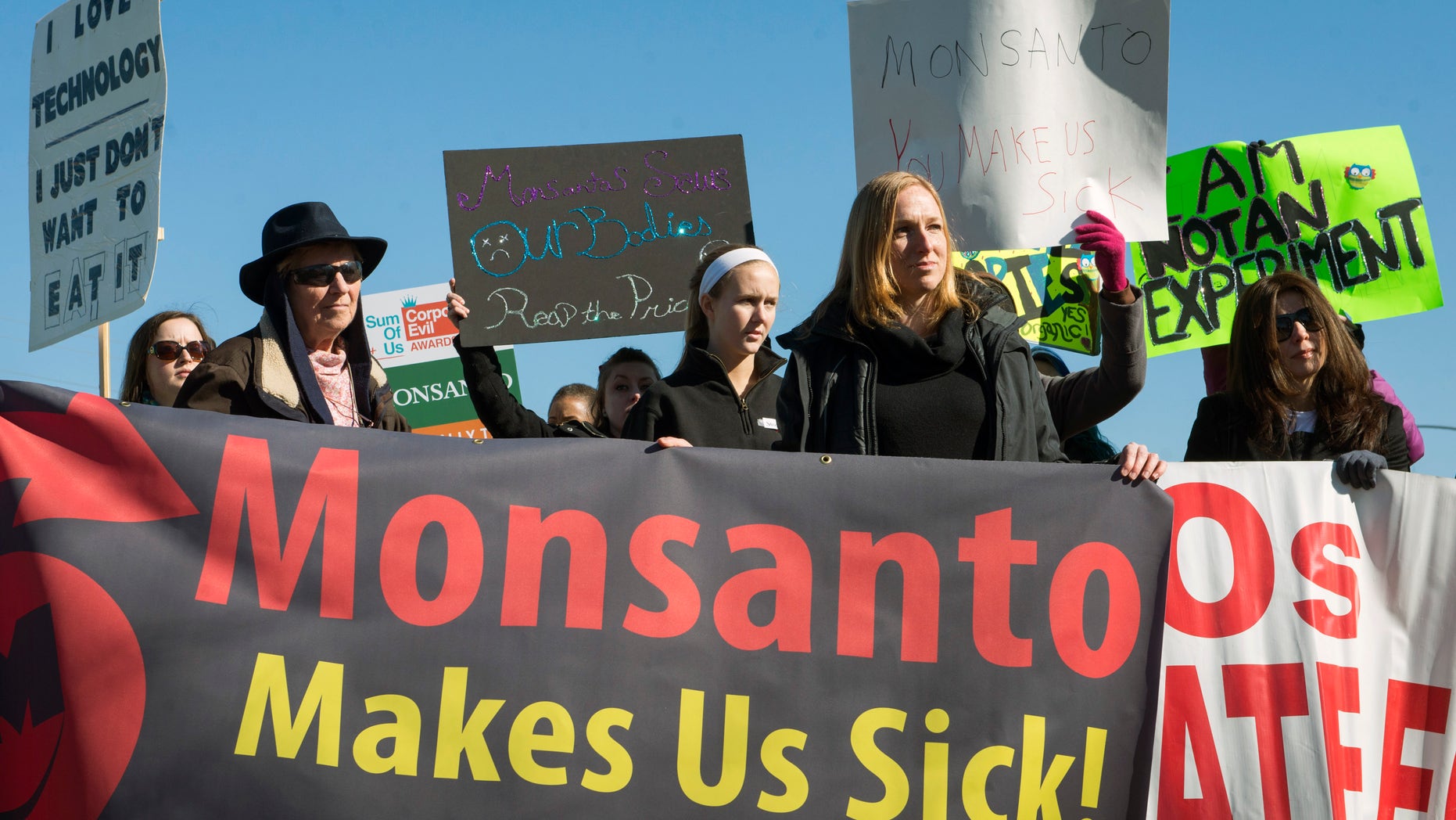 Activists protest against the production of herbicides and GMO (genetically modified organisms) food products outside Monsanto headquarters during its annual shareholders meeting in Creve Coeur, Missouri, January 30, 2015. REUTERS/Kate Munsch
