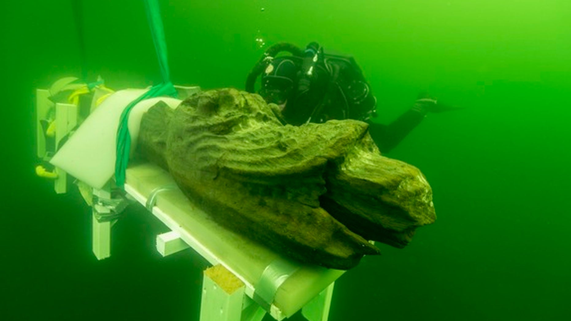 Divers recently retrieved the monster-headed figurehead of a Danish warship known as the "Gribshunden," or "grip dog," that sank beneath the waves in 1495 off the coast of Sweden. The ship may be the only preserved warship from the time period