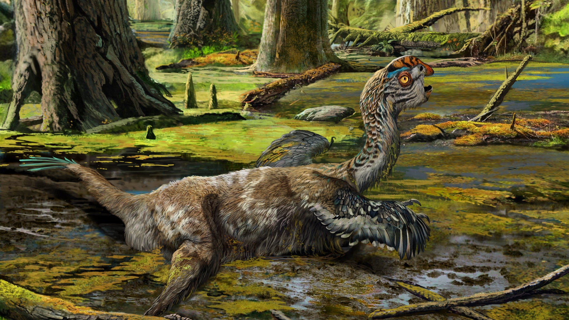 Tongtianlong limosus artist's illustration (Zhou Chuang)