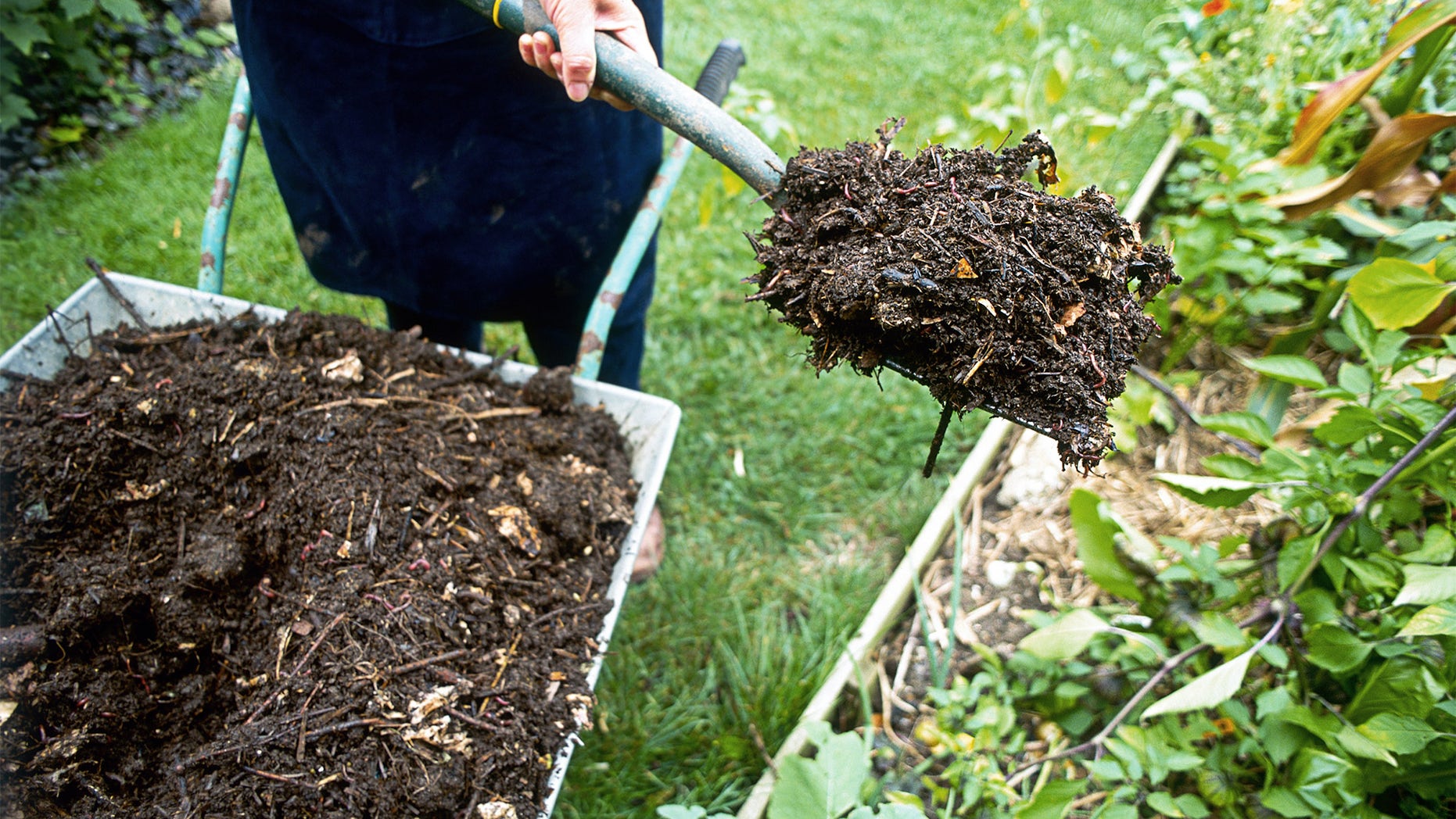 shoveling mulch