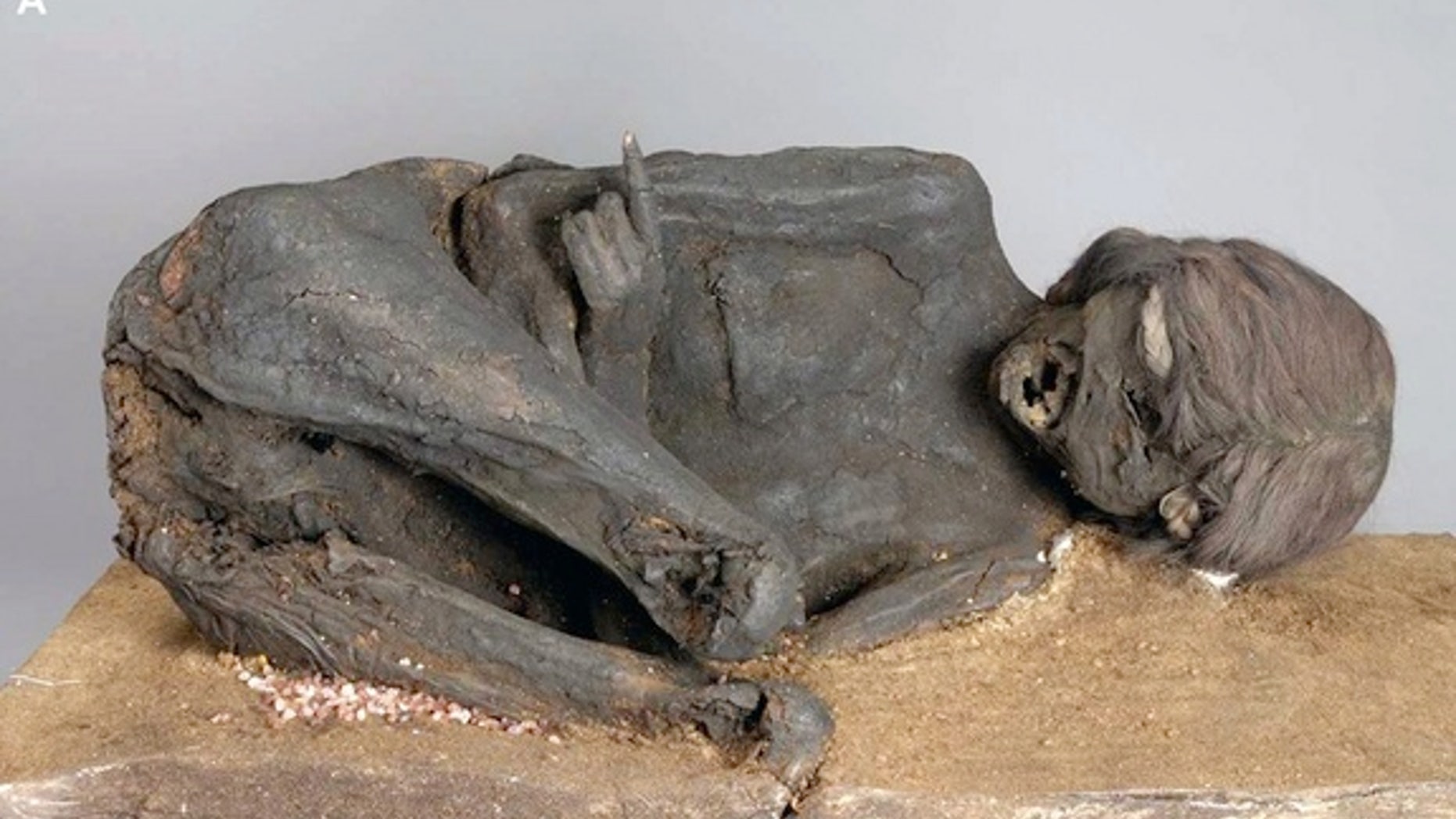 An Incan mummy that was sitting in German collections for more than a century.