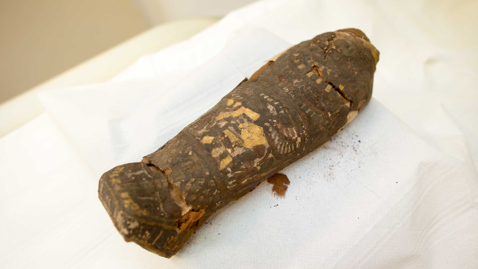 The tiny mummy at Maidstone Museum (Maidstone Museum)