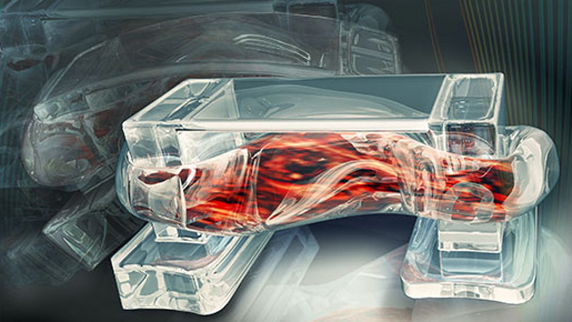 Tiny walking bio-bots are powered by muscle cells and controlled by an electric field.