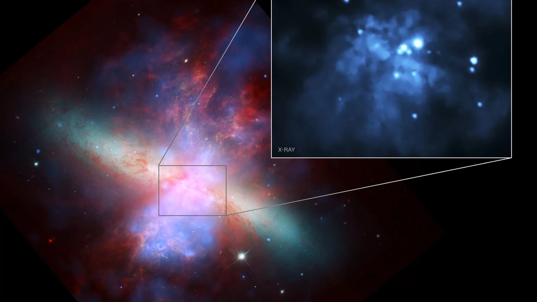 An image of the galaxy Messier 82 compiling data from NASA's Chandra X-Ray Observatory, Hubble Space Telescope and Spitzer Space Telescope. The intermediate-mass black hole M82 X-1 is the brightest object in the inset, at about 2 o'clock near the galaxy's center. Credit: NASA/H. Feng et al.