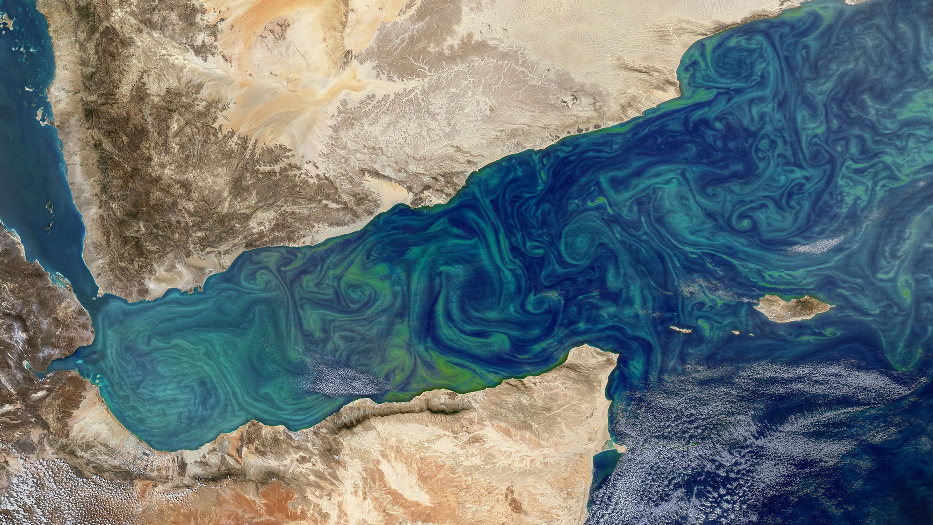 Phytoplankton blooms can sometimes be seen from space, as in this image from the Gulf of Aden, shown here in an image taken by the MODIS instrument on NASA’s Aqua satellite. (Credit: NASA's Earth Observatory)