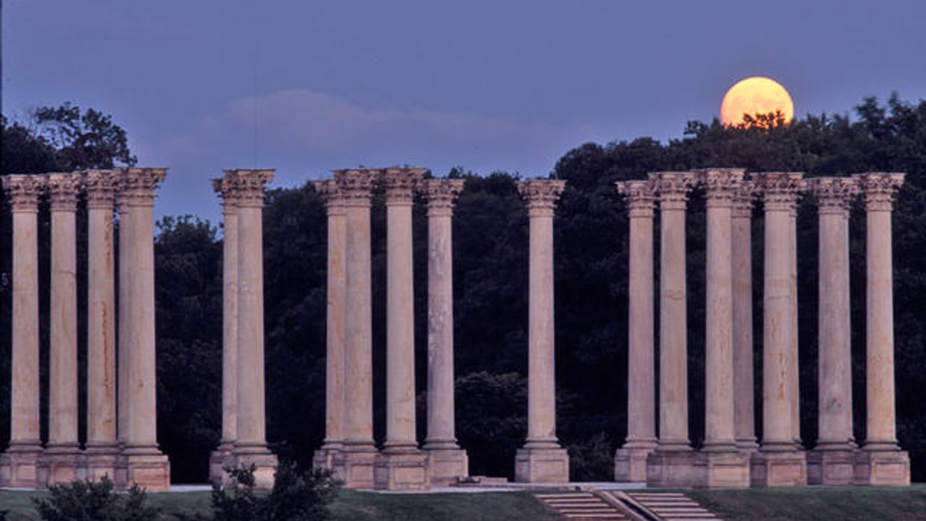 This undated photo released by the National Arboretum shows the National Capitol Columns at the U.S. National Arboretum in Washington.