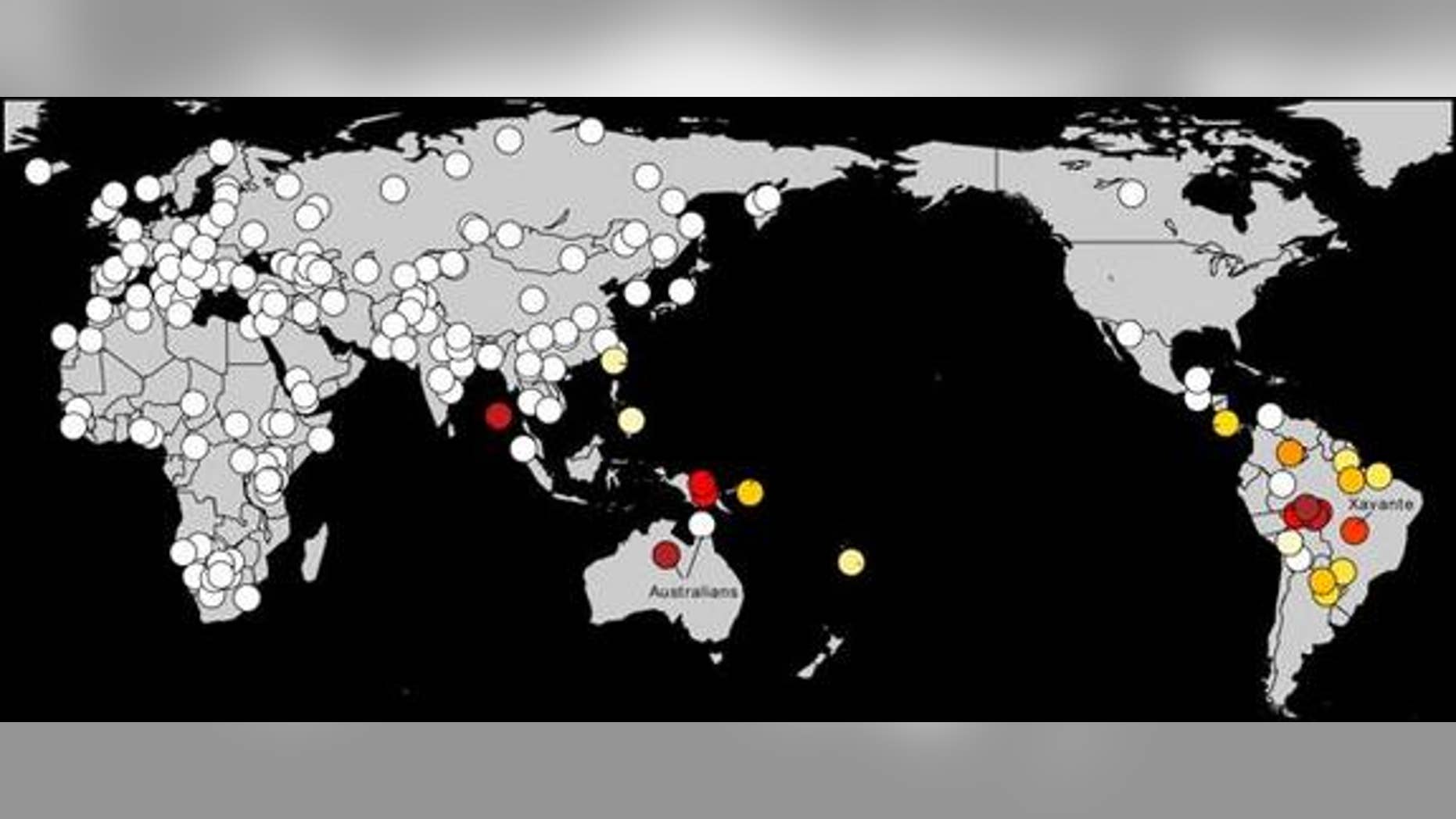 Scientists have found deep genetic links between Amazonian natives in South America and Australasians (warmer colors indicate the strongest affinities).