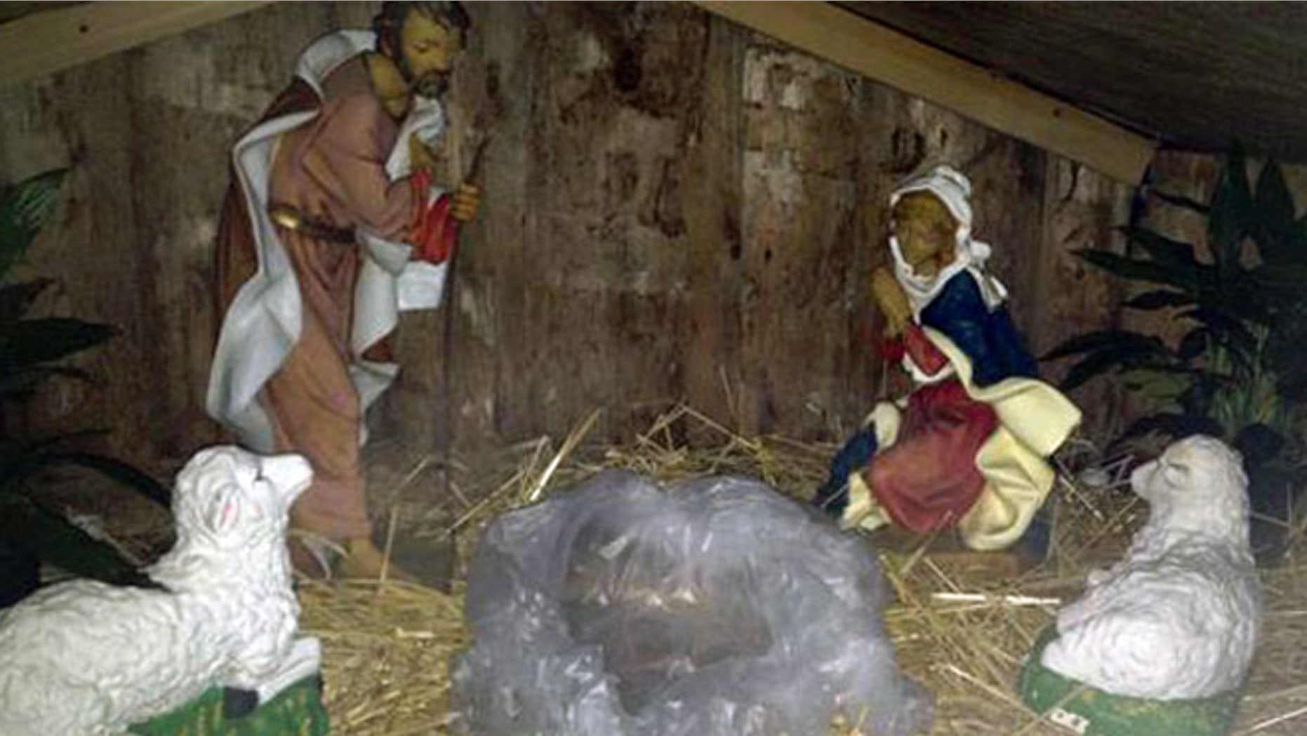Massachusetts police say someone stole a baby Jesus statue from a Nativity scene on Christmas morning and replaced it with a severed pig's head.