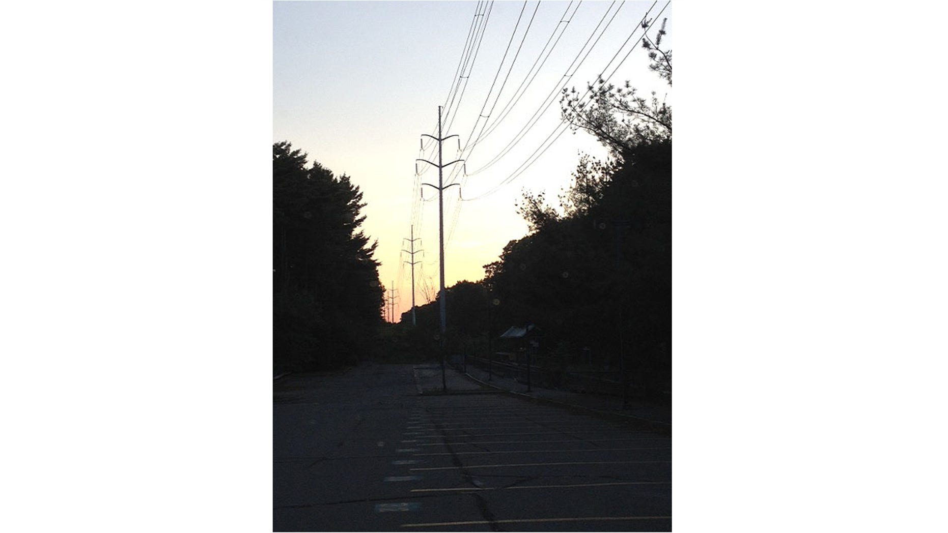 Residents claim Massachusetts power company NSTAR swung the axe first and asked questions later.