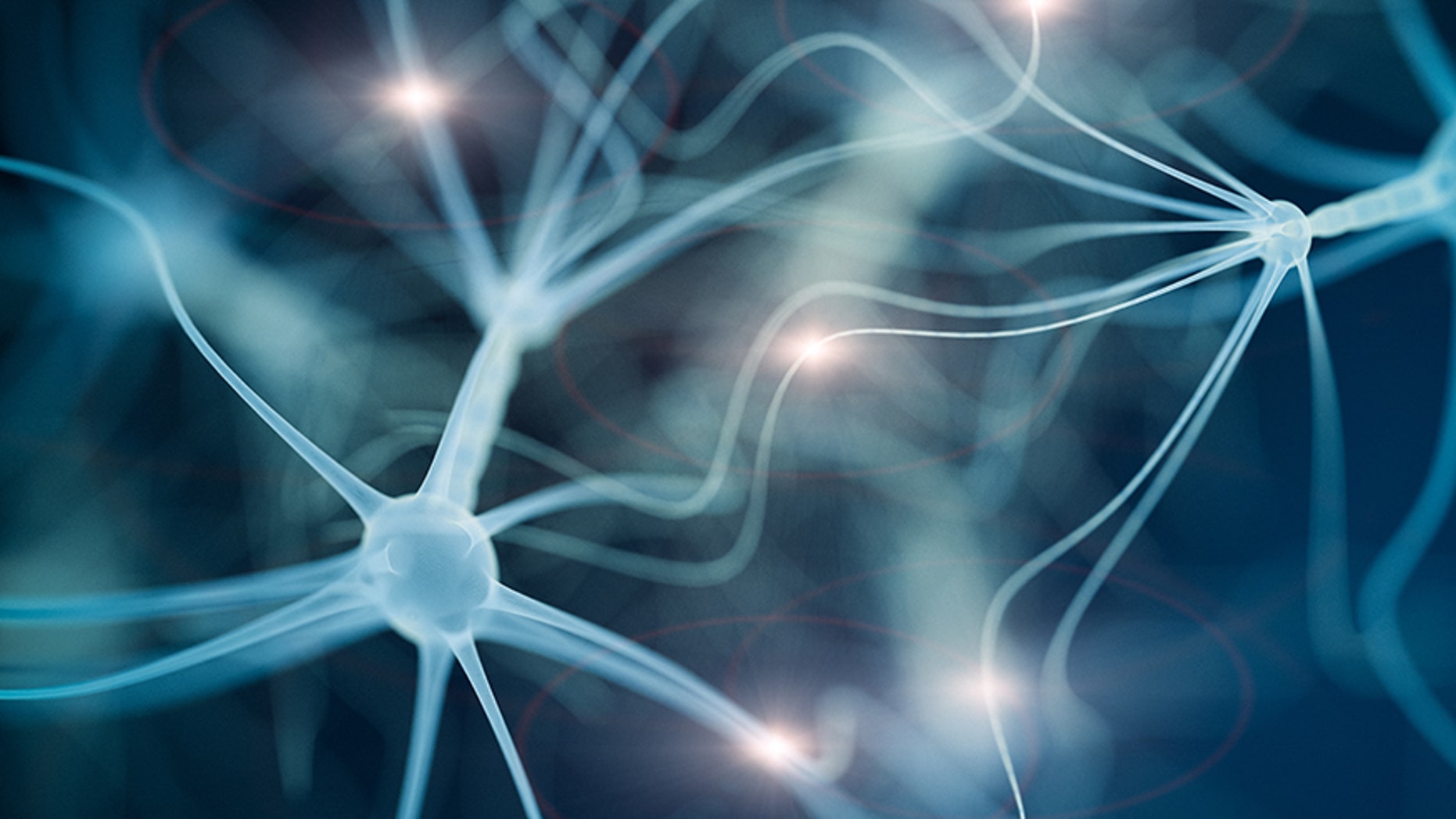 Neuron cell network - 3d rendered image on black background