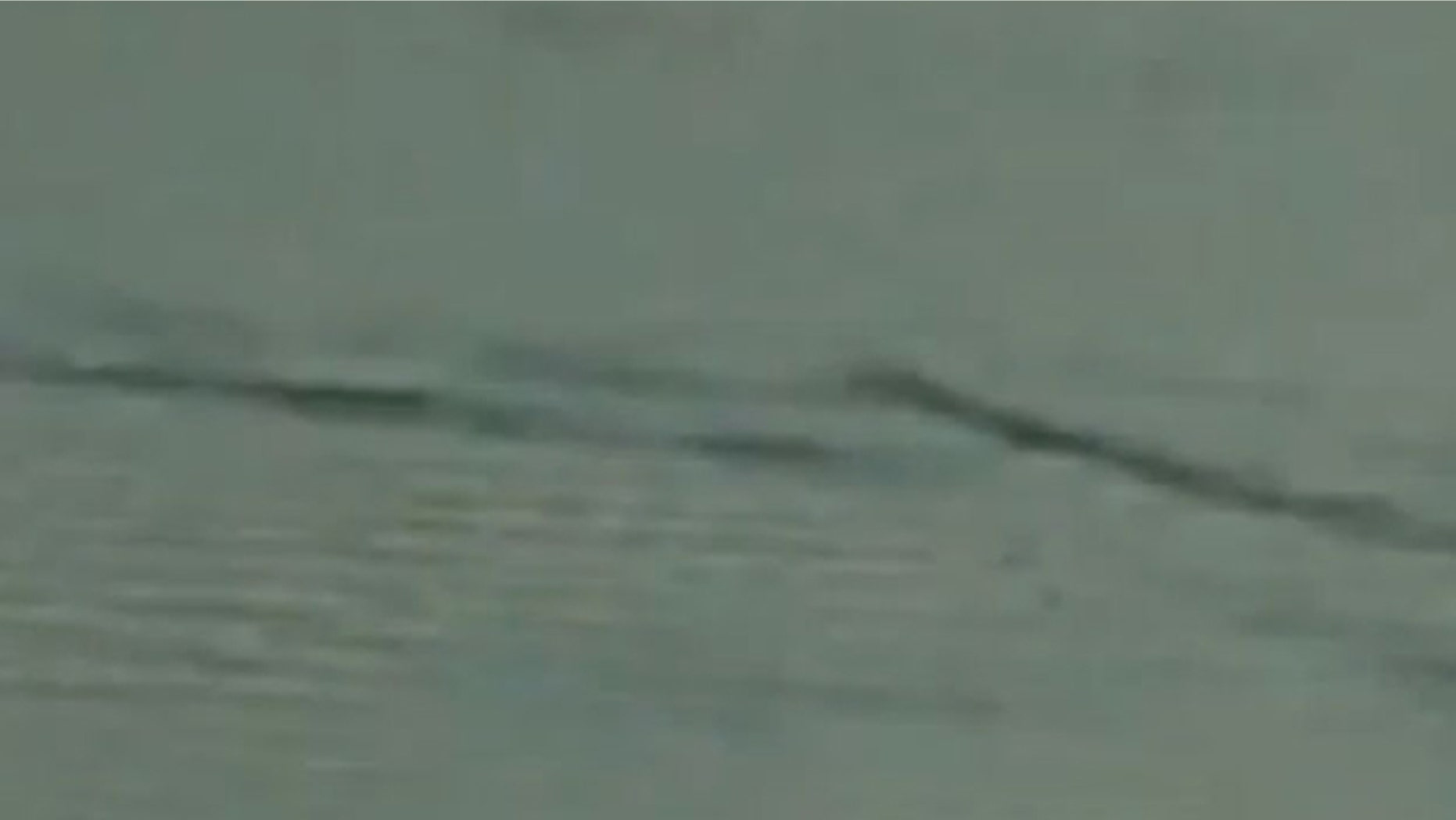 Is this Ogopogo?