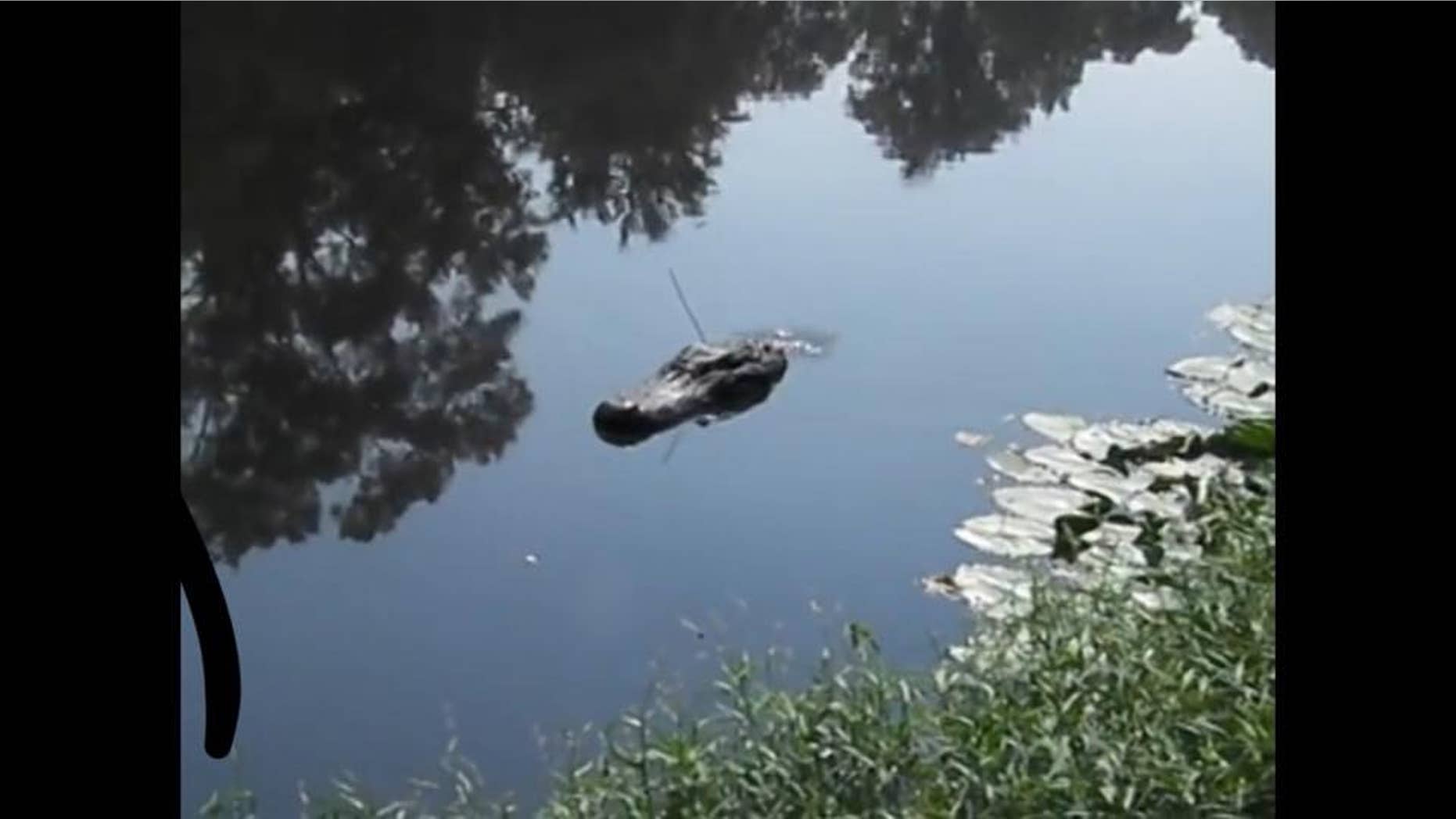 Social media postings regarding an alligator in two Texas rivers are bogus, authorities said Saturday.