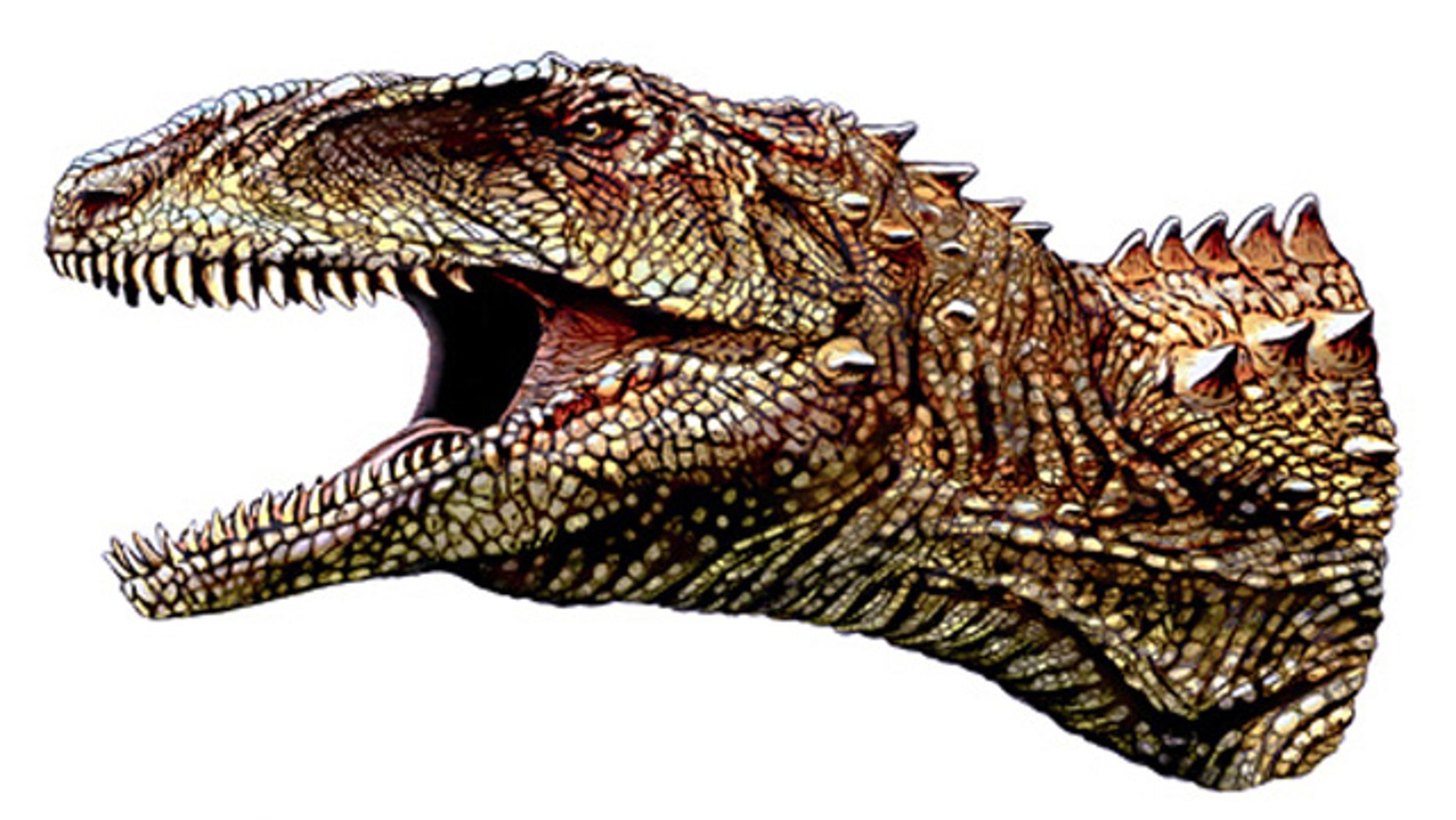 Fossils of three new dinosuars, like this Australovenator wintonensis, were discovered in Australia this year. But they were just one of the ten best discoveries of the year.