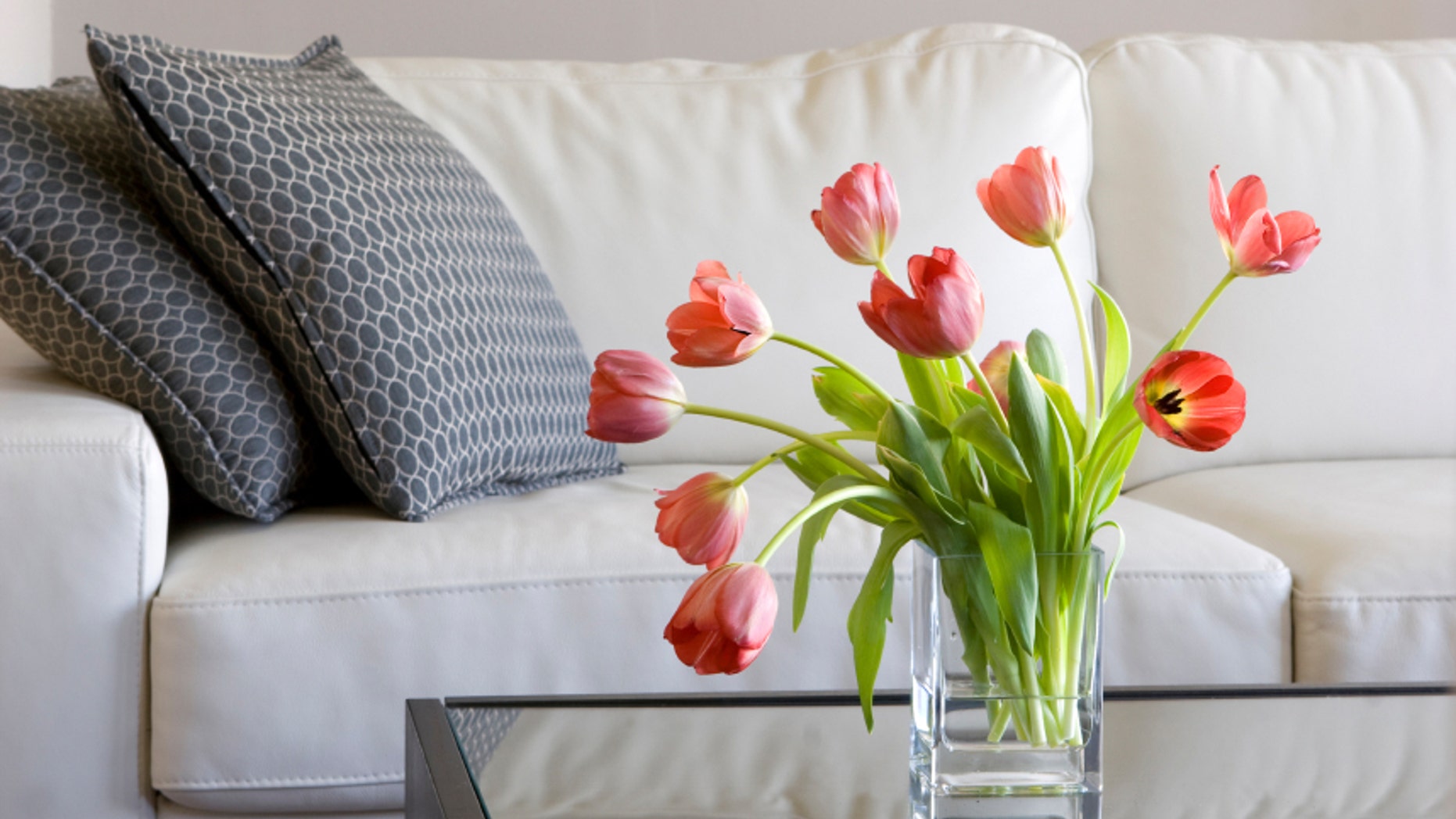 vase of red tulips in modern white living room - home decor