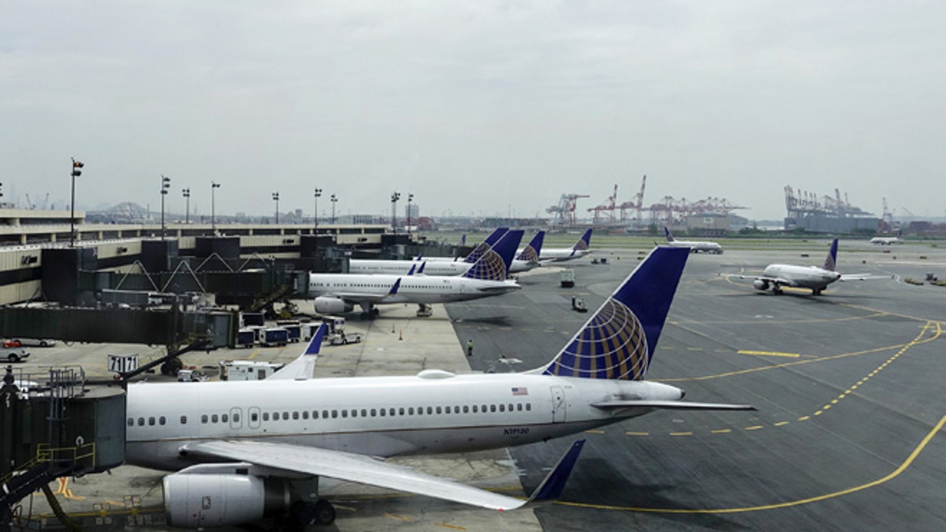 File photo -United Airlines planes are seen on platform at the Newark Liberty International Airport in New Jersey, July 8, 2015. (REUTERS/Eduardo Munoz)