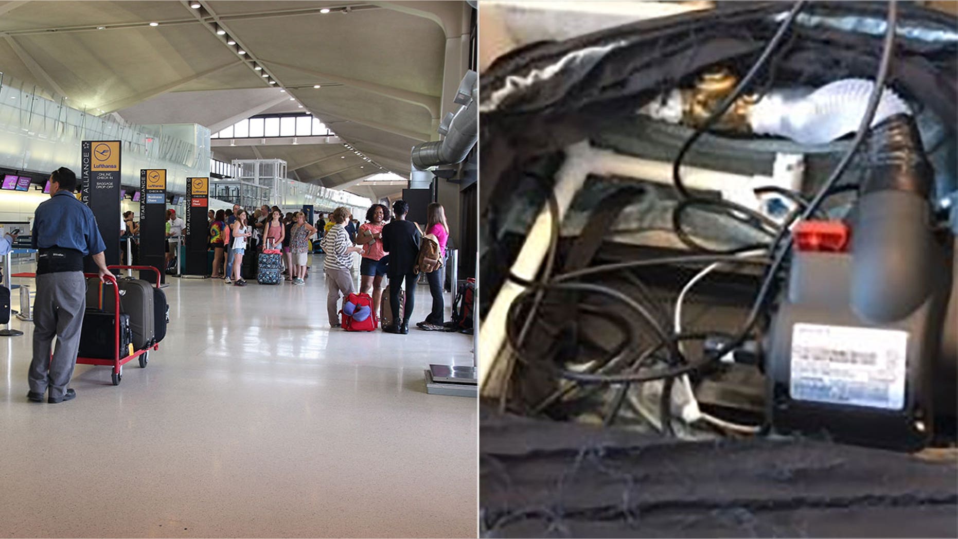 Nine people claiming to work for a TV network tried to smuggle a fake explosive device past a security checkpoint at the Newark Liberty airport, according to the TSA.