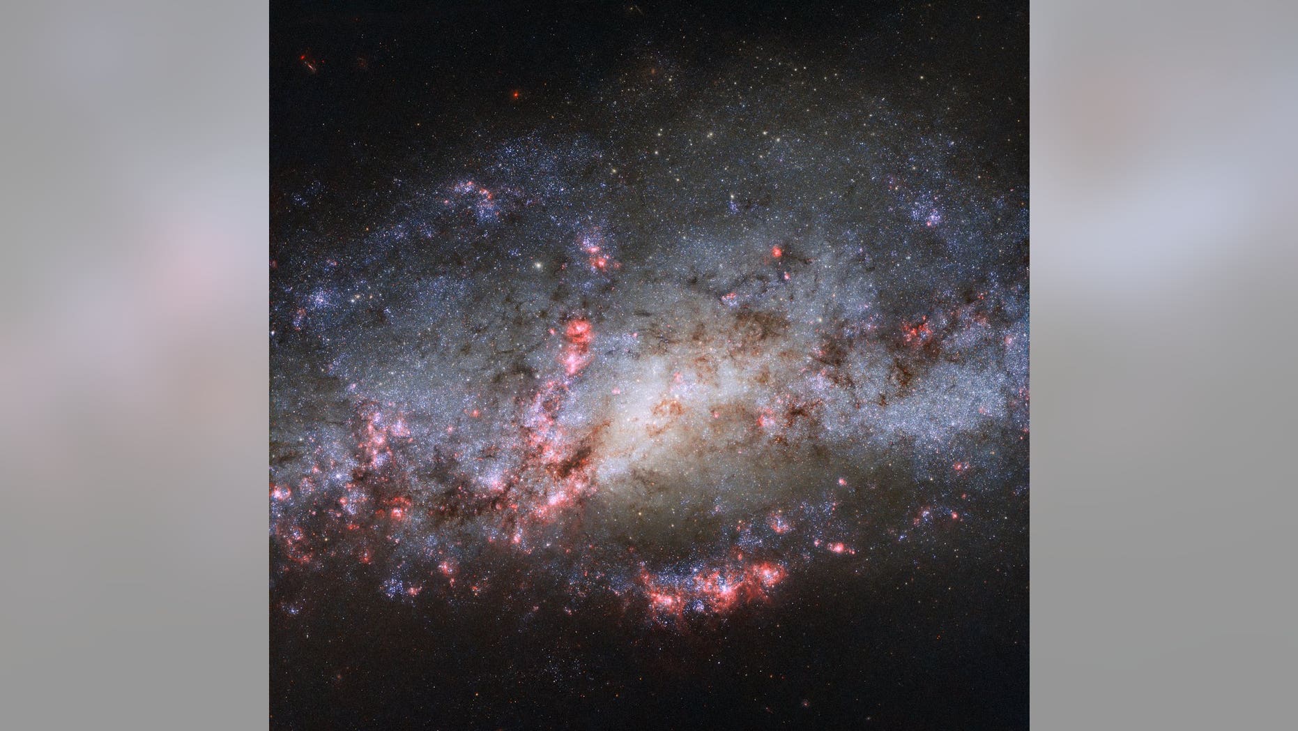 The NASA/ESA Hubble Space Telescope captured this close-up image of galaxy NGC 4490, also known as the Cocoon Galaxy.