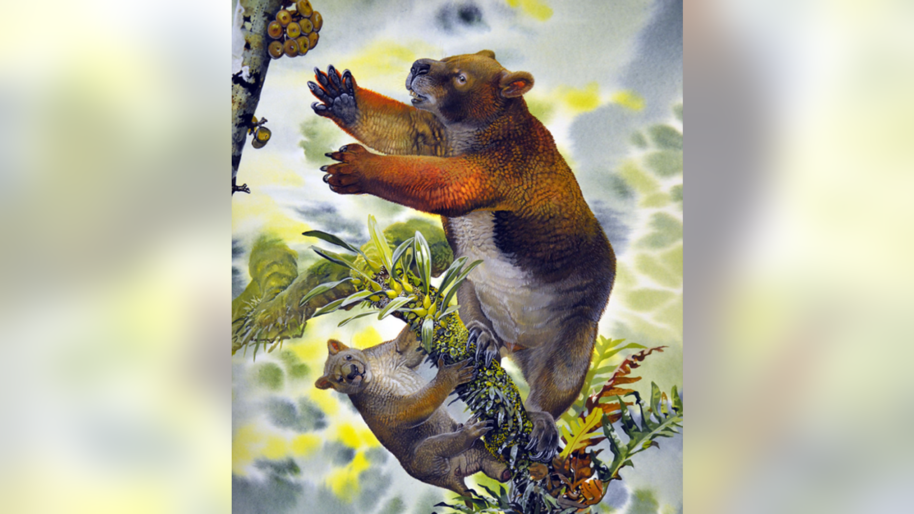 Reconstruction of Nimbadon lavarackorum mother and juvenile