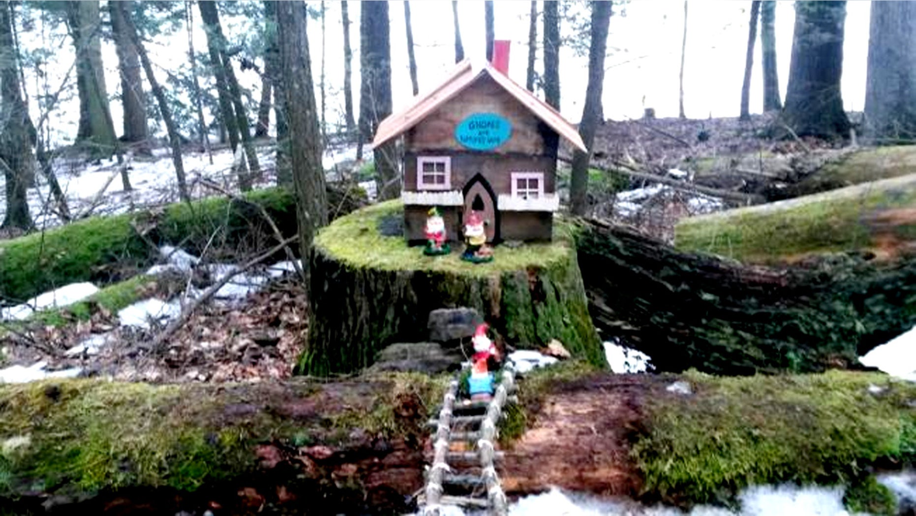The mini houses in Little Buffalo State Park need to be removed by Feb. 29.