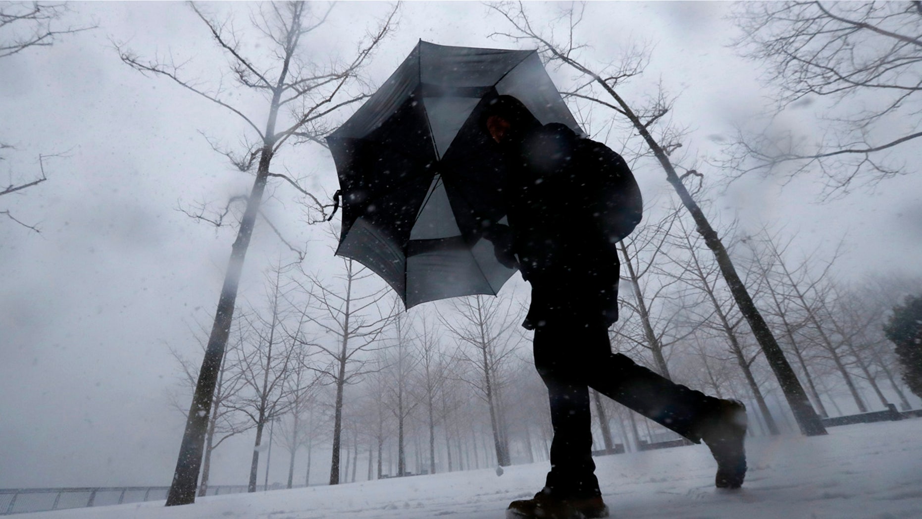 A person shields itself from snow while walking through Pier A Park, Thursday, Feb. 9, 2017, in Hoboken, N.J.