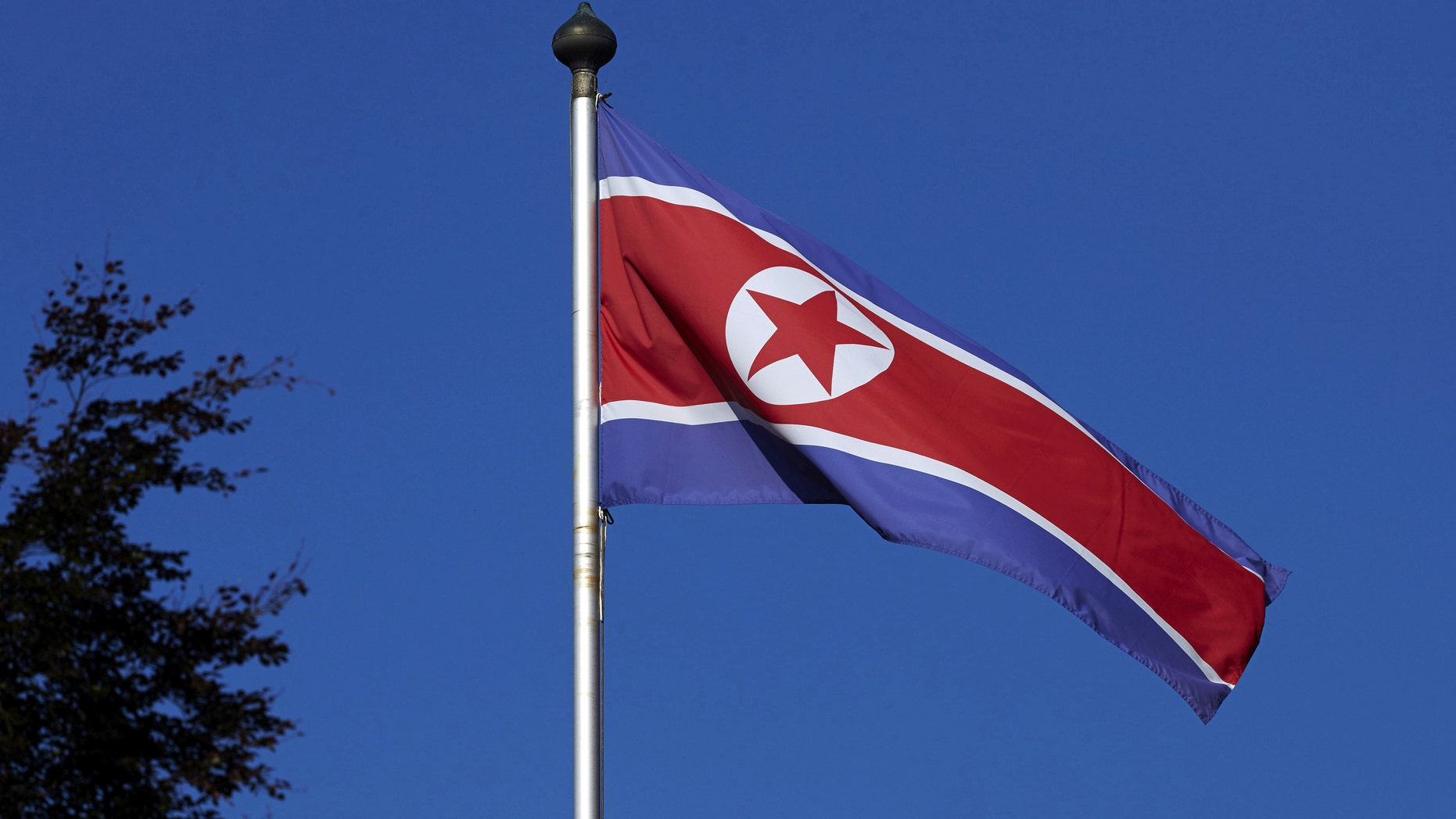 File photo - A North Korean flag flies on a mast at the Permanent Mission of North Korea in Geneva Oct. 2, 2014. (REUTERS/Denis Balibouse/File Photo)
