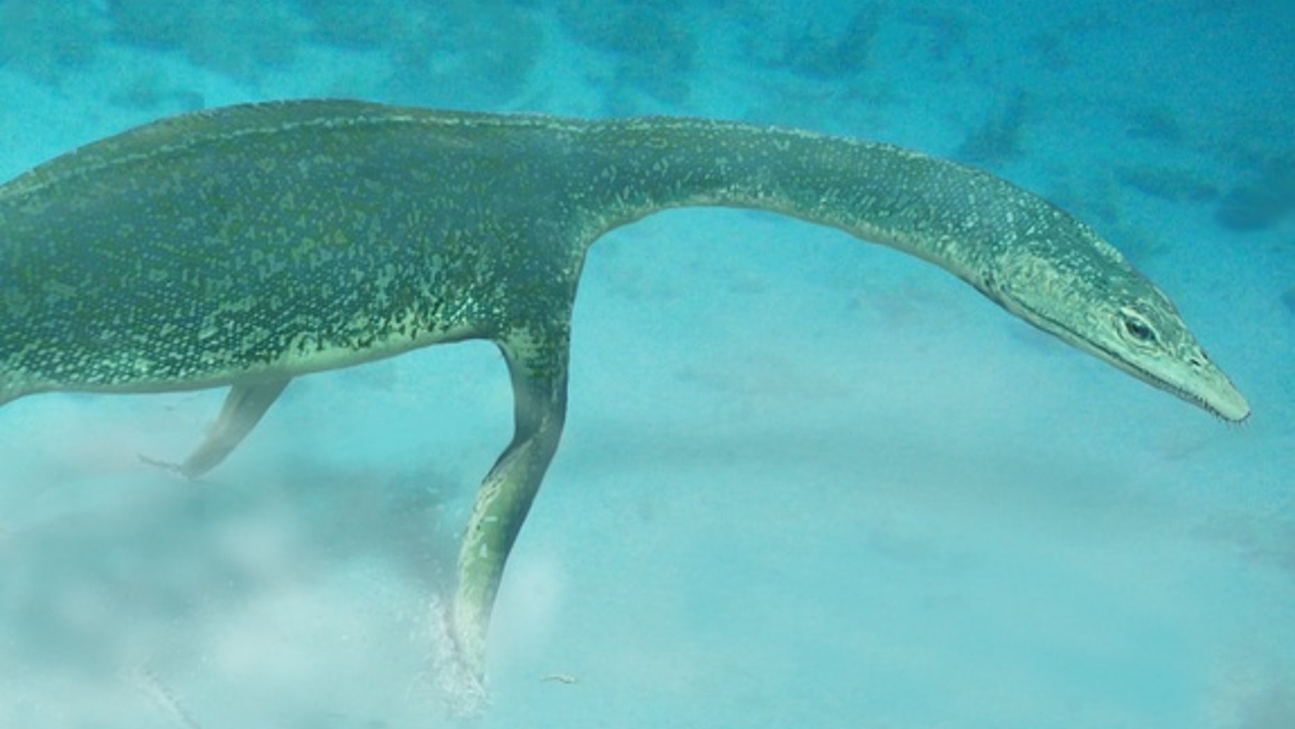 Ancient marine reptiles called Lariosaurs (a type of nothosaur) prowled the Triassic Seas for lobsters and other bottom-dwellers.