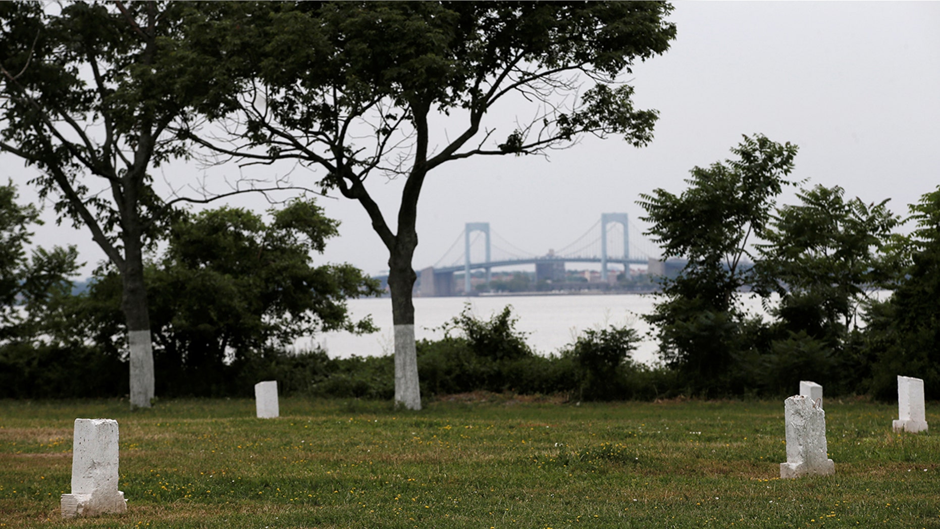 Human bones were exposed on Hart Island due to beach erosion.