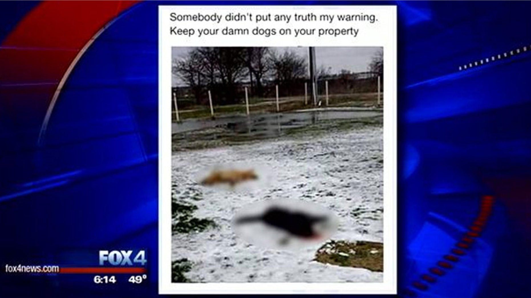 A volunteer firefighter in Hunt County has reportedly resigned and could face criminal charges over a social media post suggesting he shot two dogs.