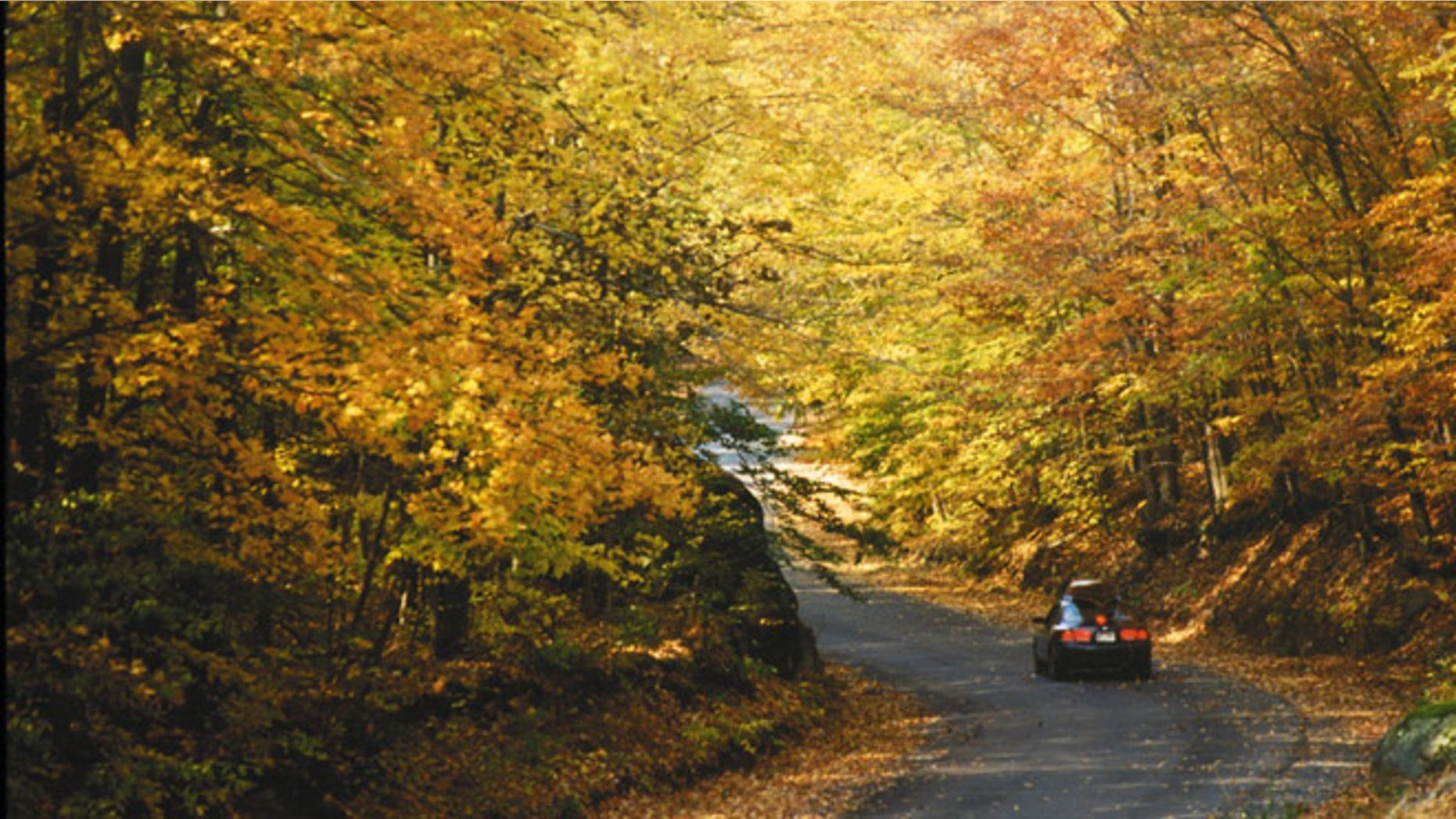 Lewis County, N.Y.