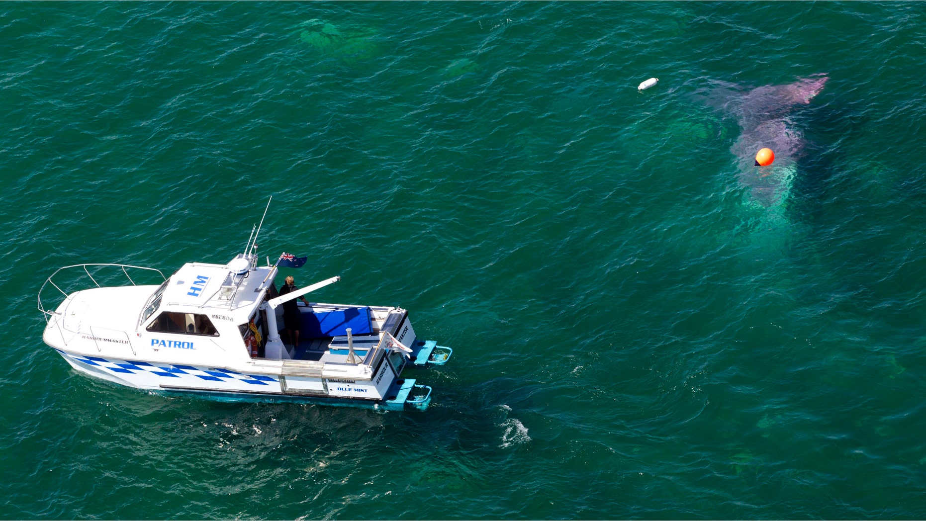 Jan. 7, 2015: A police boat circles a crashed plane in Lake Taupo in New Zealand.