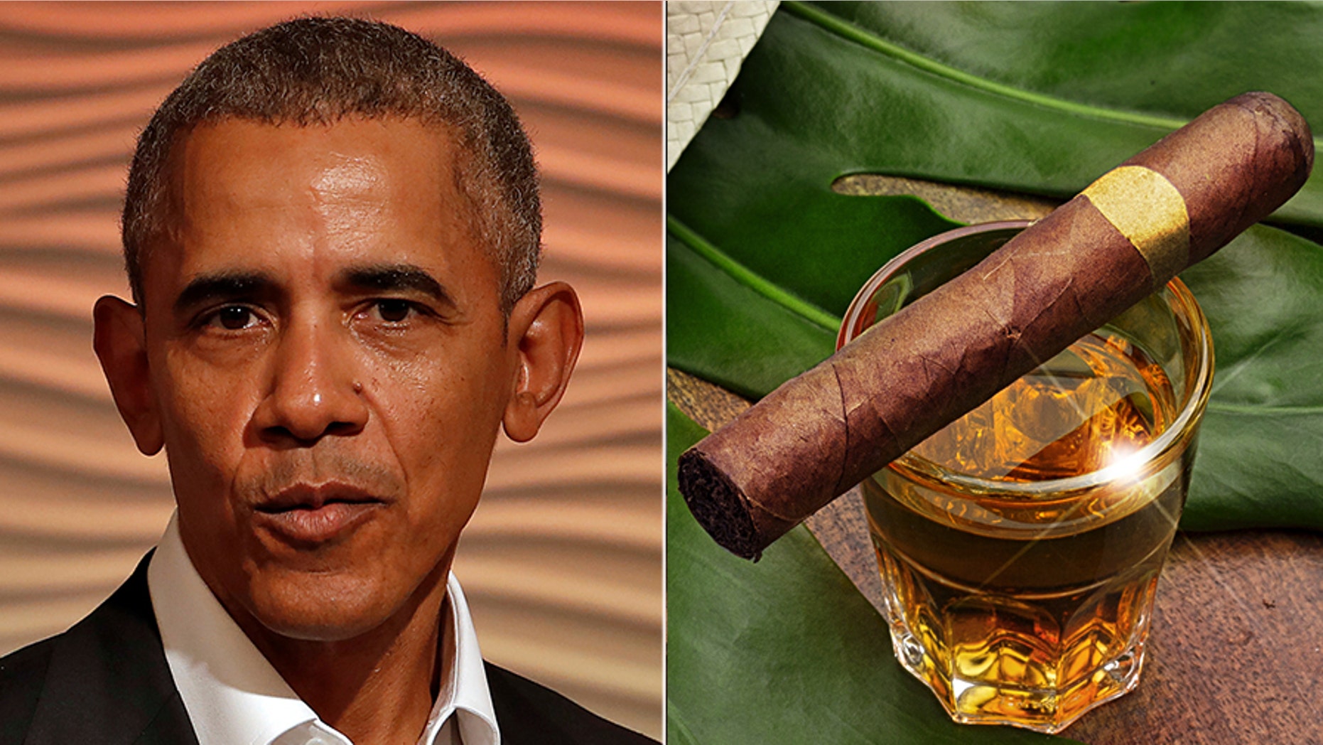 Federal documents revealed that President Barack Obama, his family and a top official received gifts from the Cuban government and other foreign friends during his final two years in office.