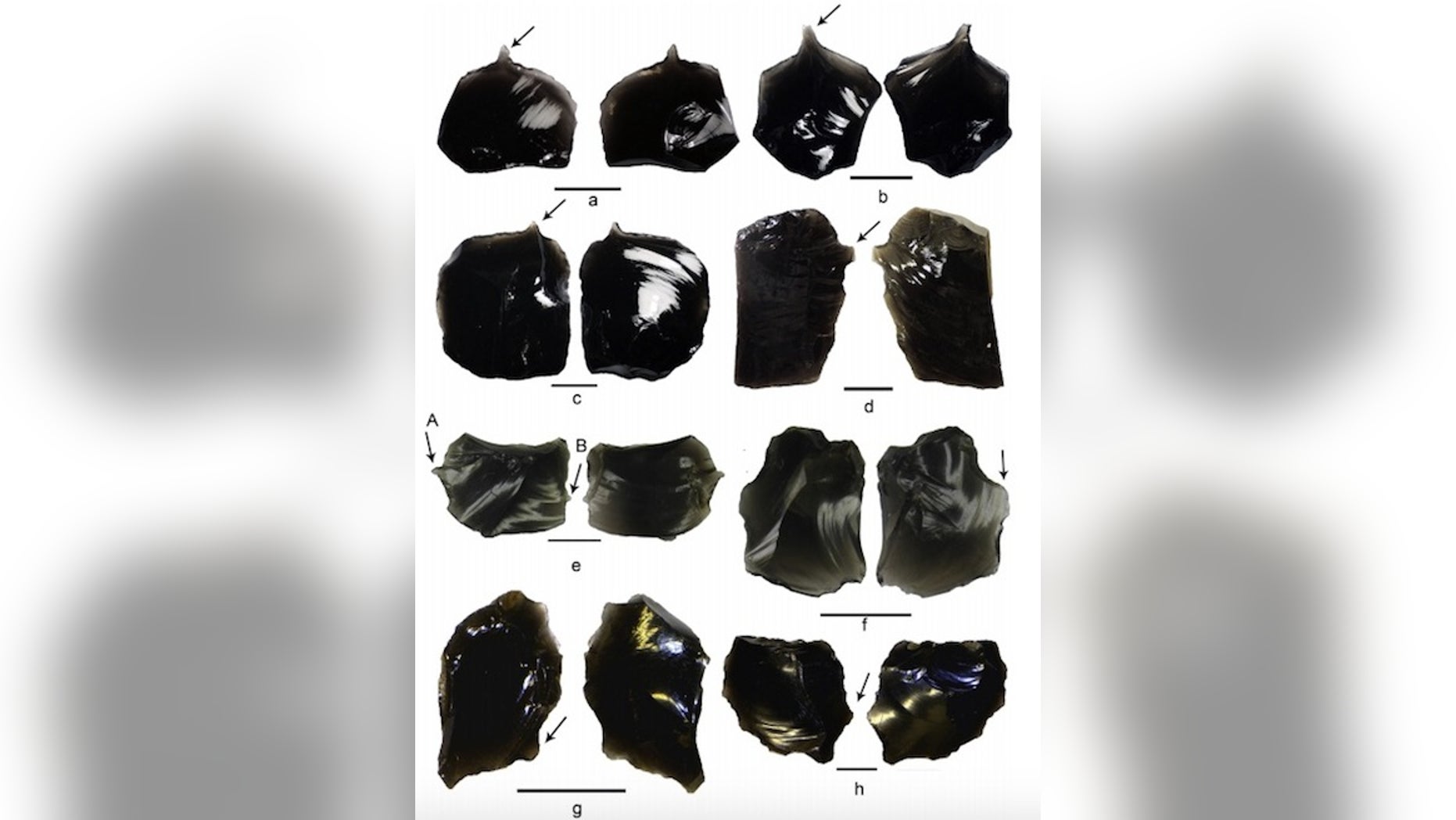 Archaeologists analyzed 15 obsidian artifacts recovered from the Nanggu site in the Solomon Islands and found that they were likely used for tattooing.