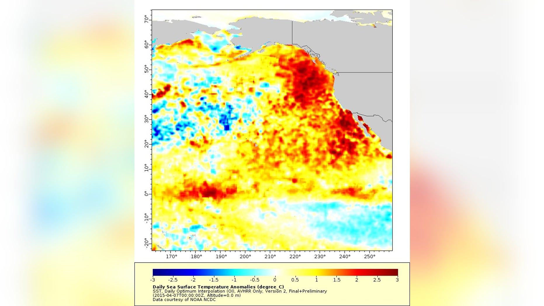 The "warm blob," seen in April 2015, squished up against the West Coast. The scale bar is in degrees Celsius (each increment is 1.8 degrees Fahrenheit).